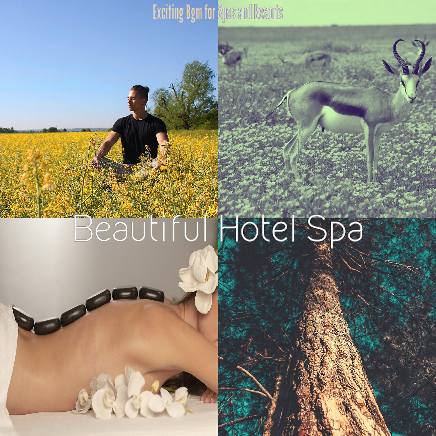 Beautiful Hotel Spa - Shakuhachi and Koto Soundtrack for Spas and Resorts