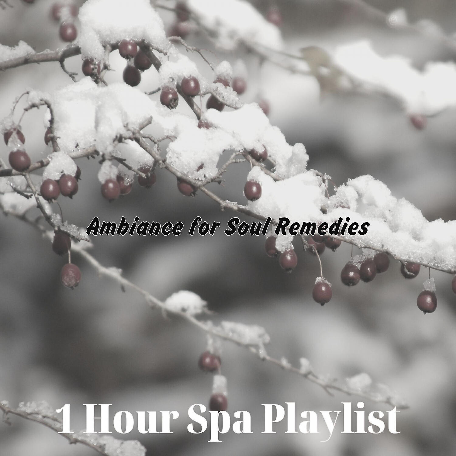 1 Hour Spa Playlist - Divine Stone Massage