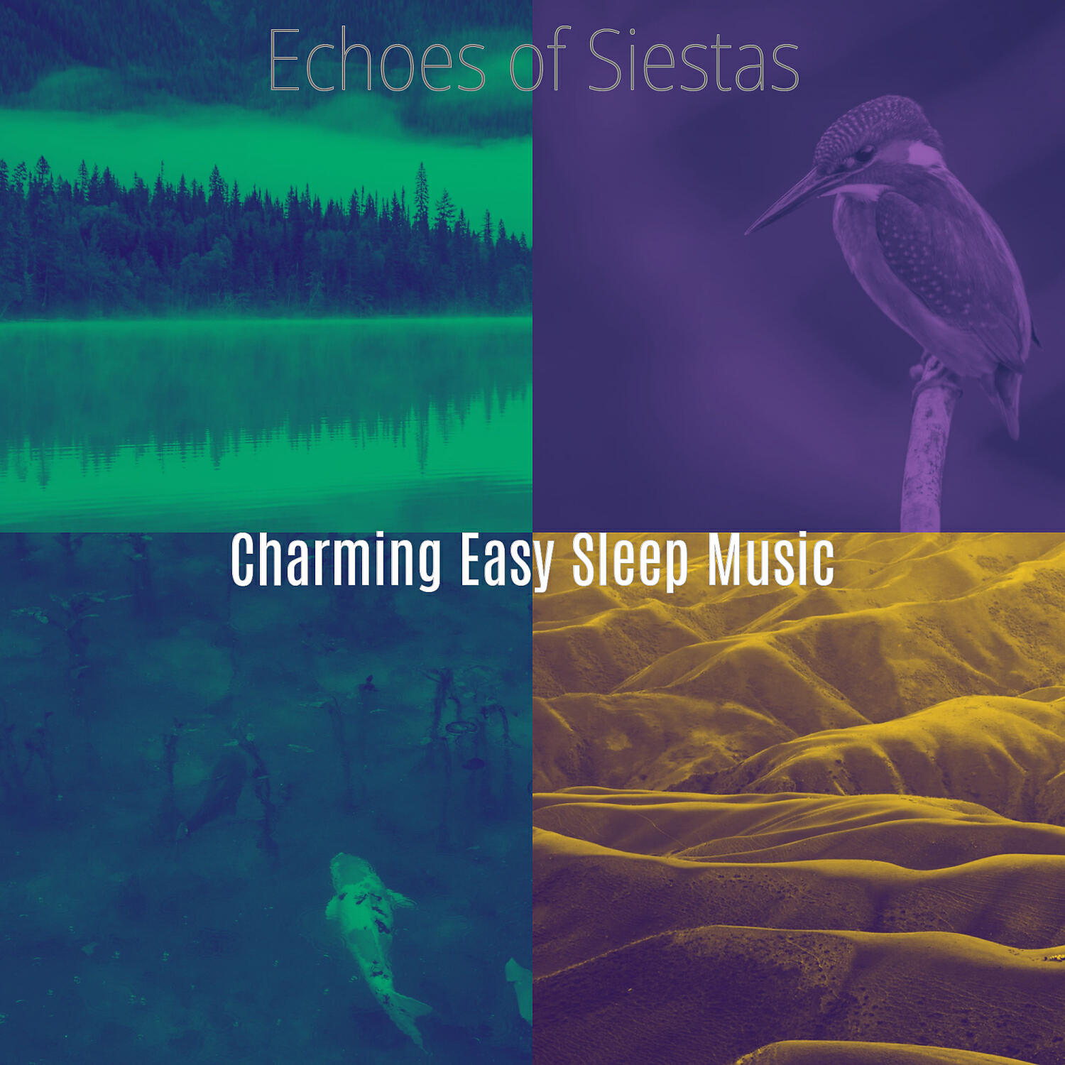 Charming Easy Sleep Music - Cultured Backdrops for Sleeping Well