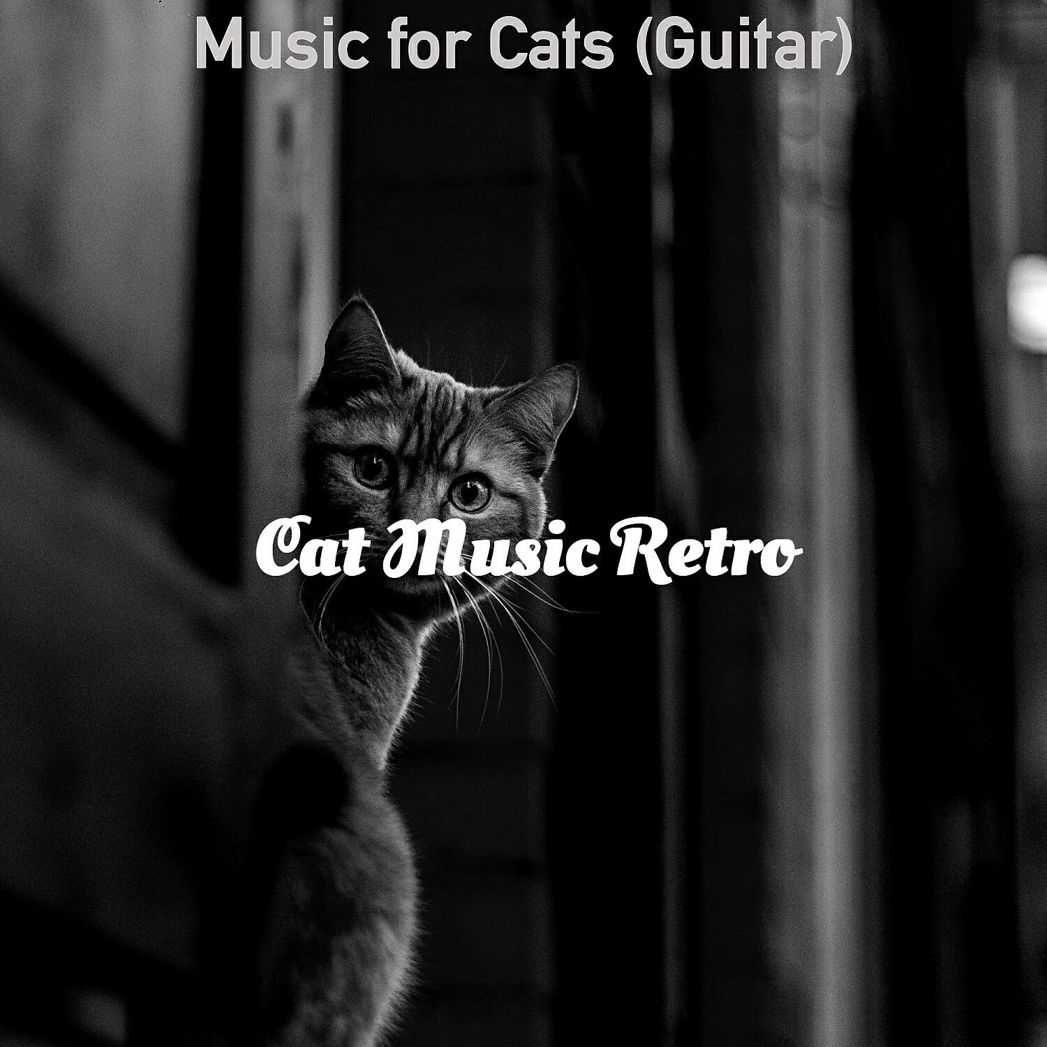 Cat Music Retro - Incredible Jazz Guitar Trio - Vibe for Cute Cats