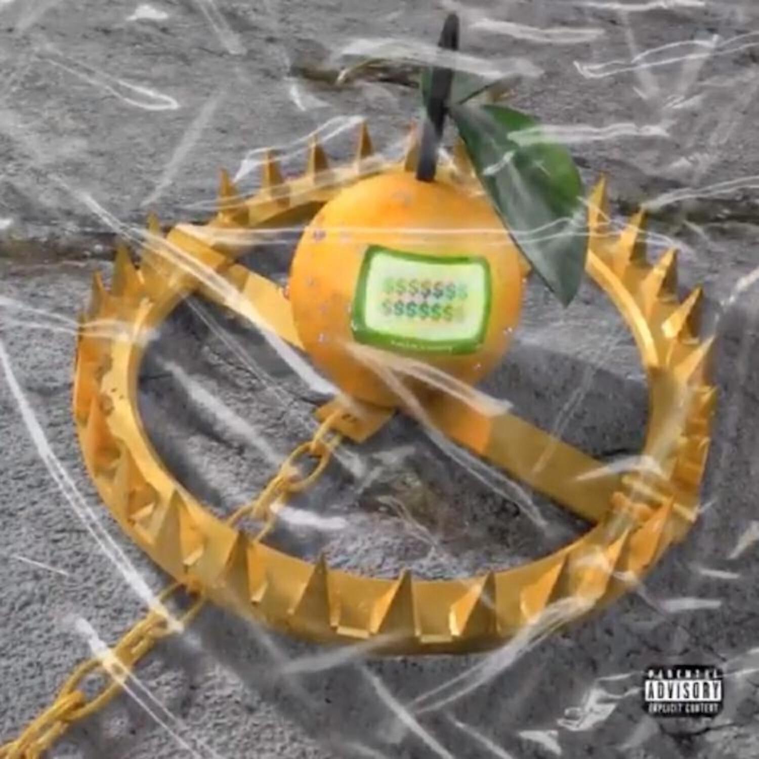 Larry June - Organic Duckits