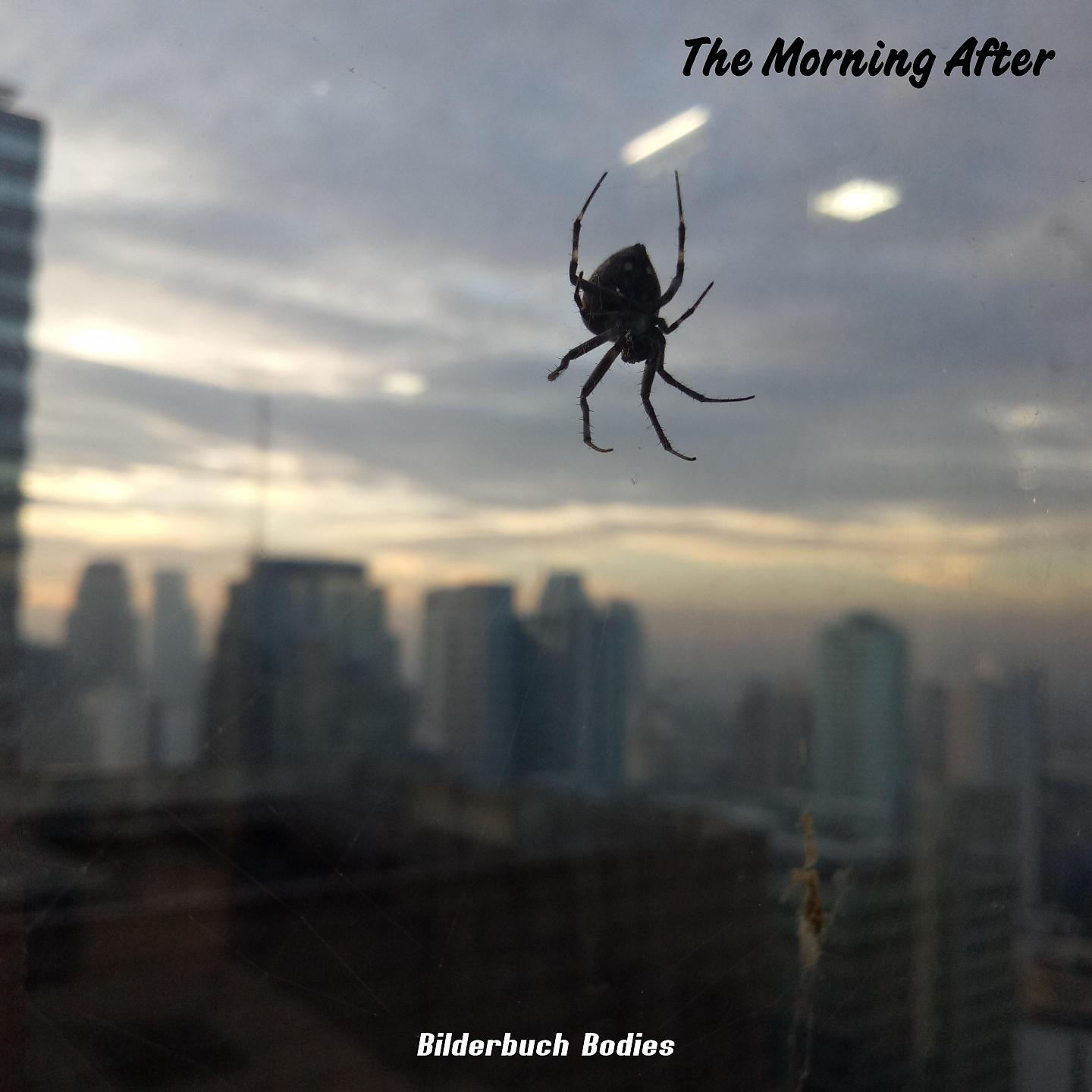 Постер альбома The Morning After
