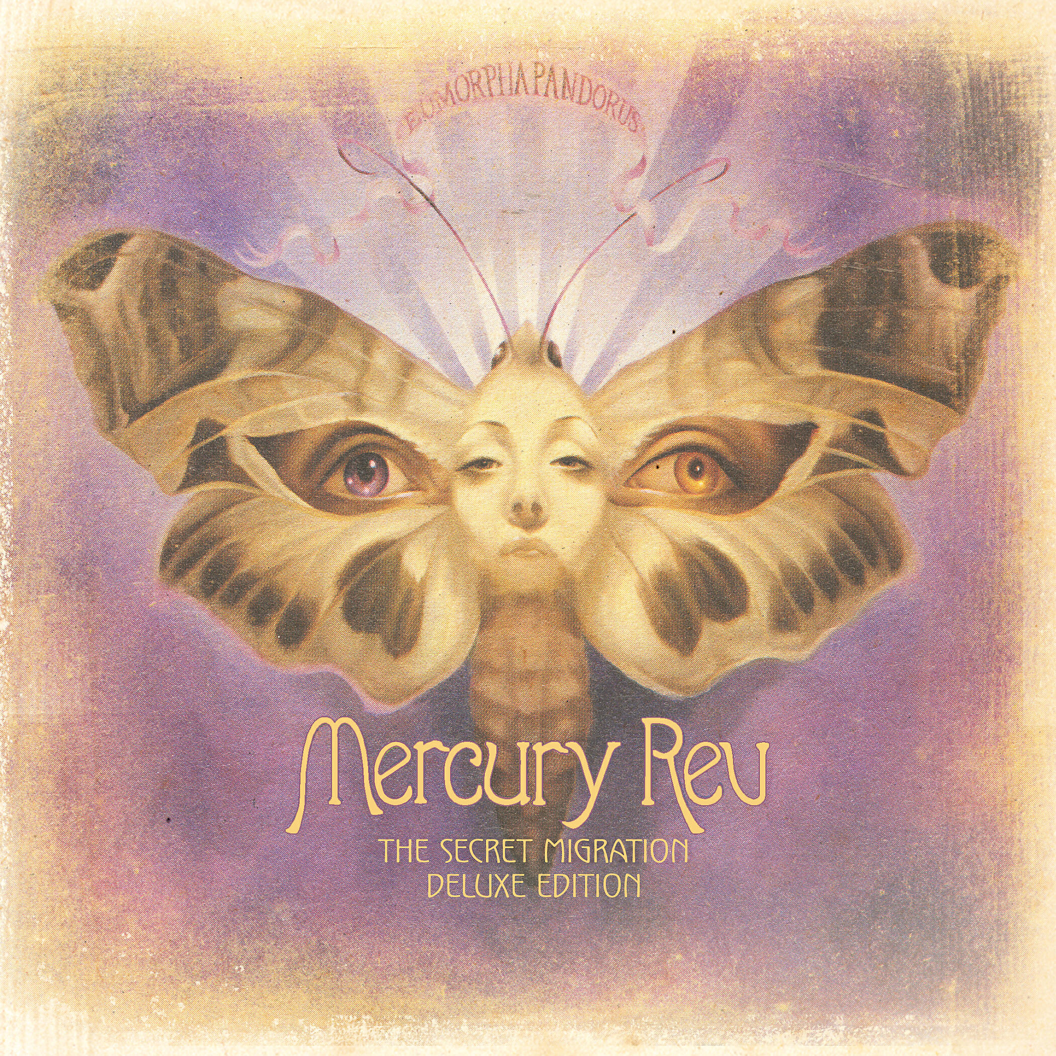 Mercury Rev - Androgynous