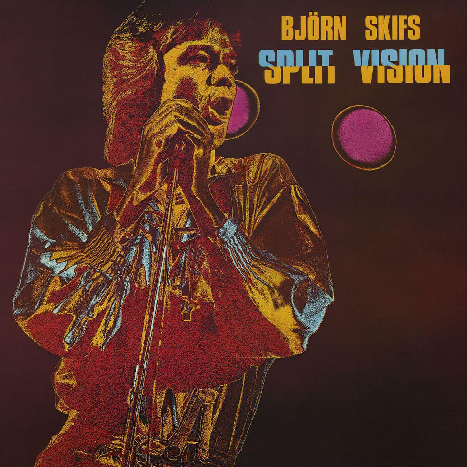 Постер альбома Split Vision