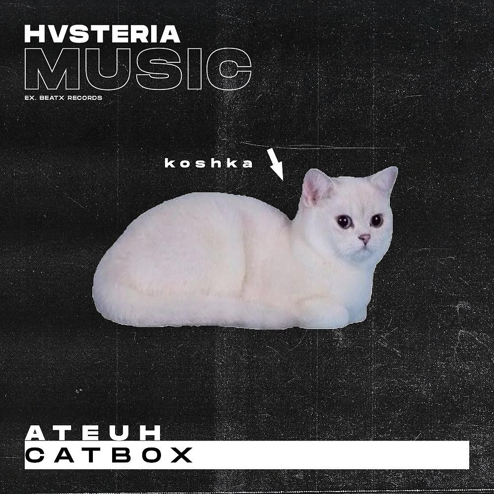 Постер альбома Catbox