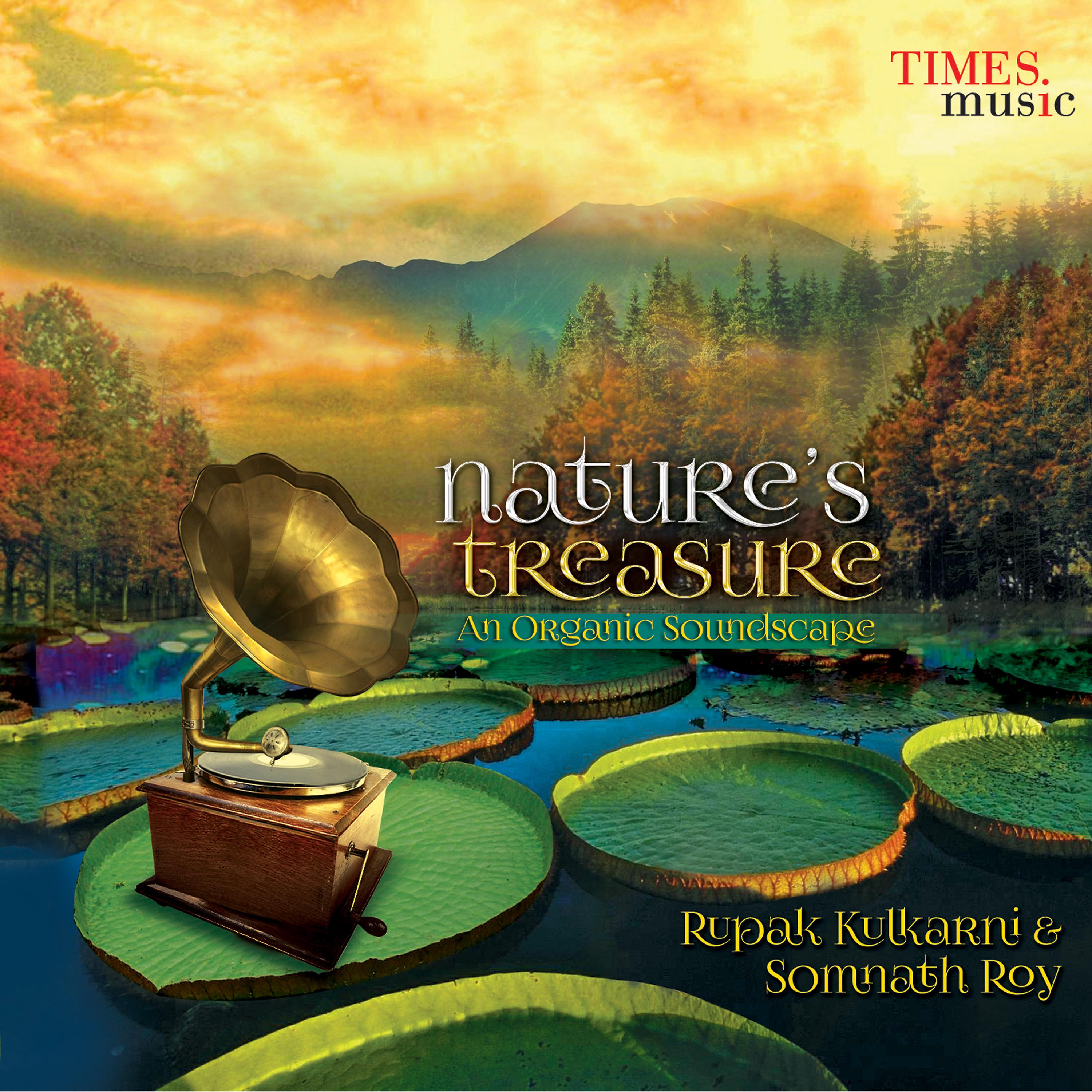 Постер альбома Nature's Treasure