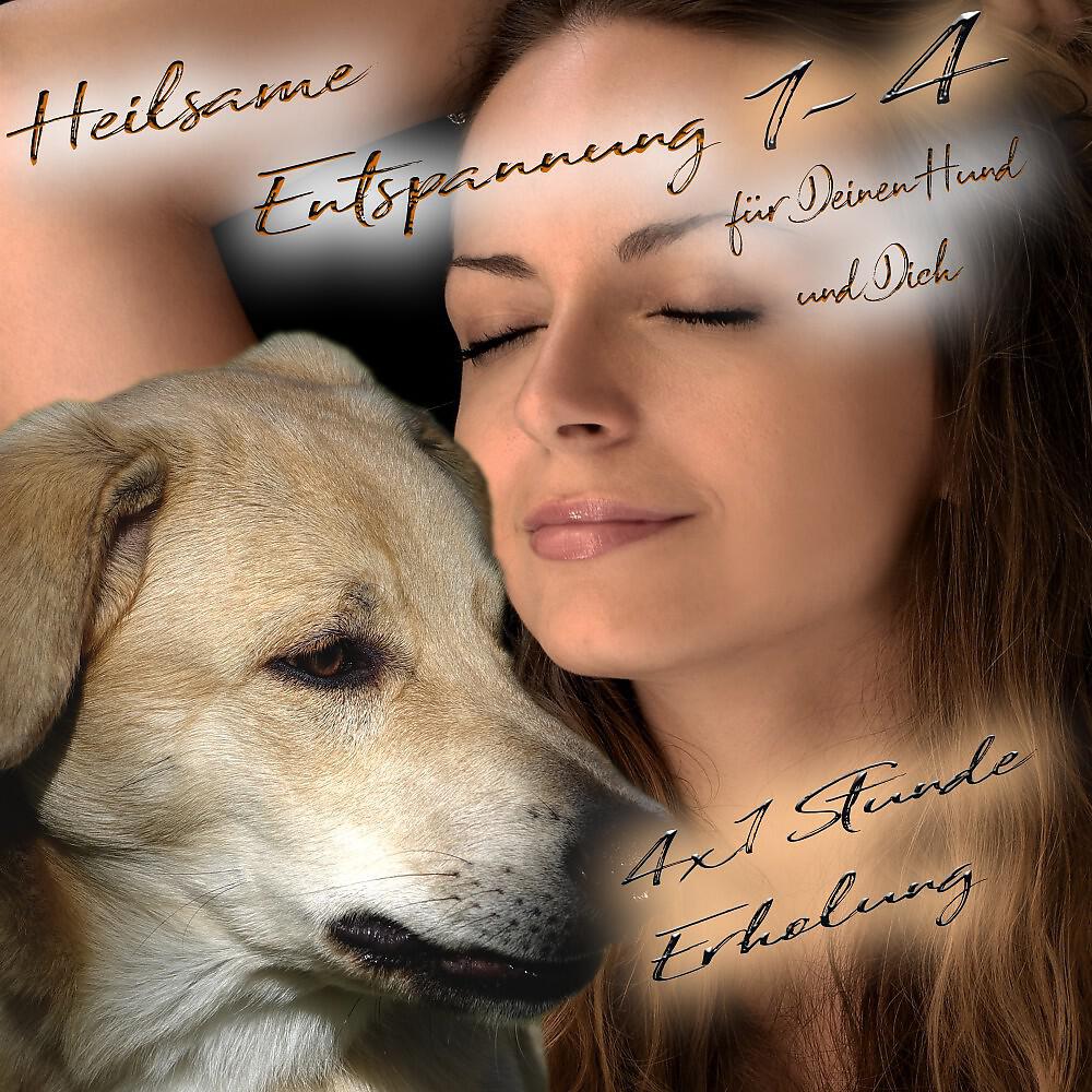Jeffrey Jey Bartle - Heilsame Entspannung 3: Für deinen Hund und Dich