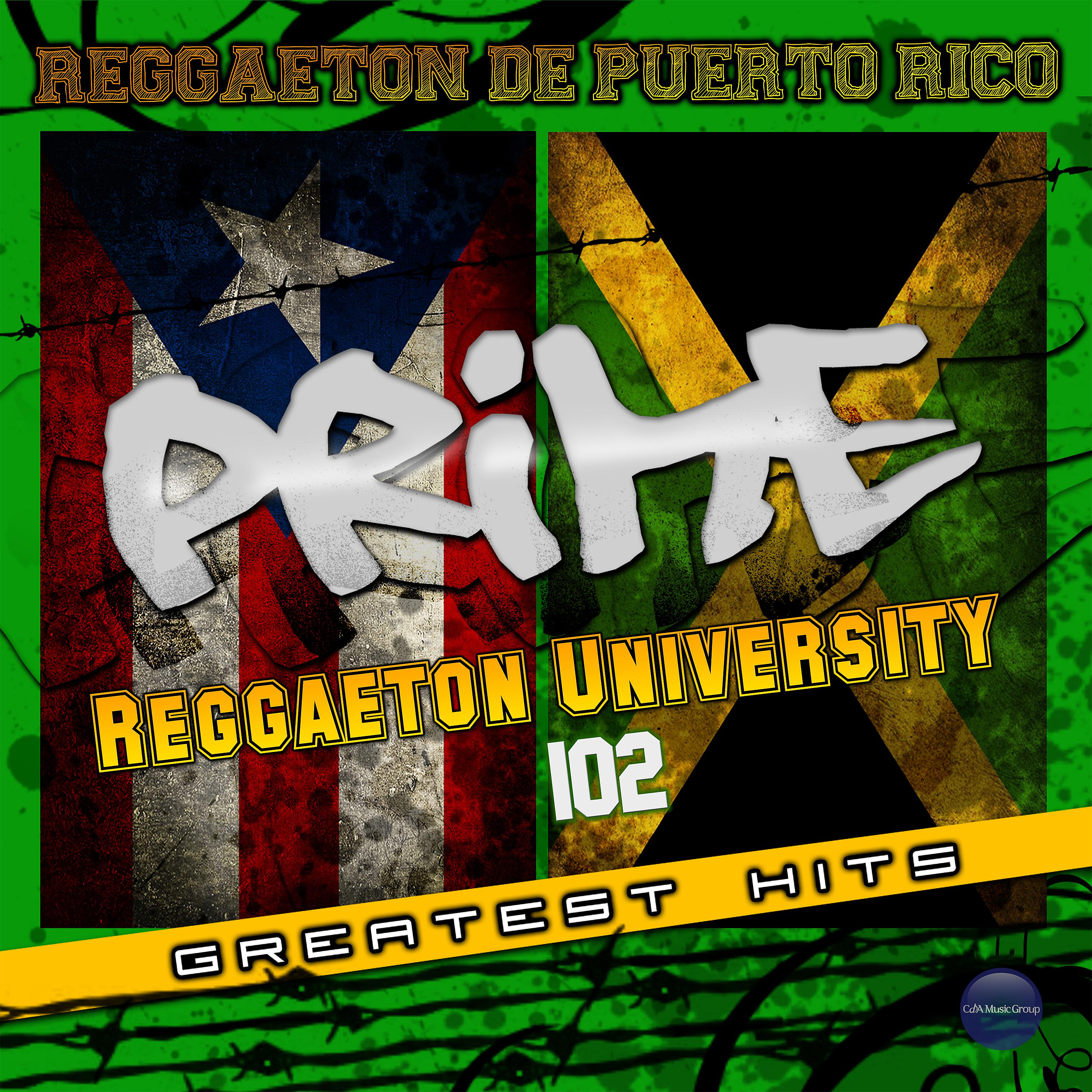 Постер альбома Reggaeton University 102