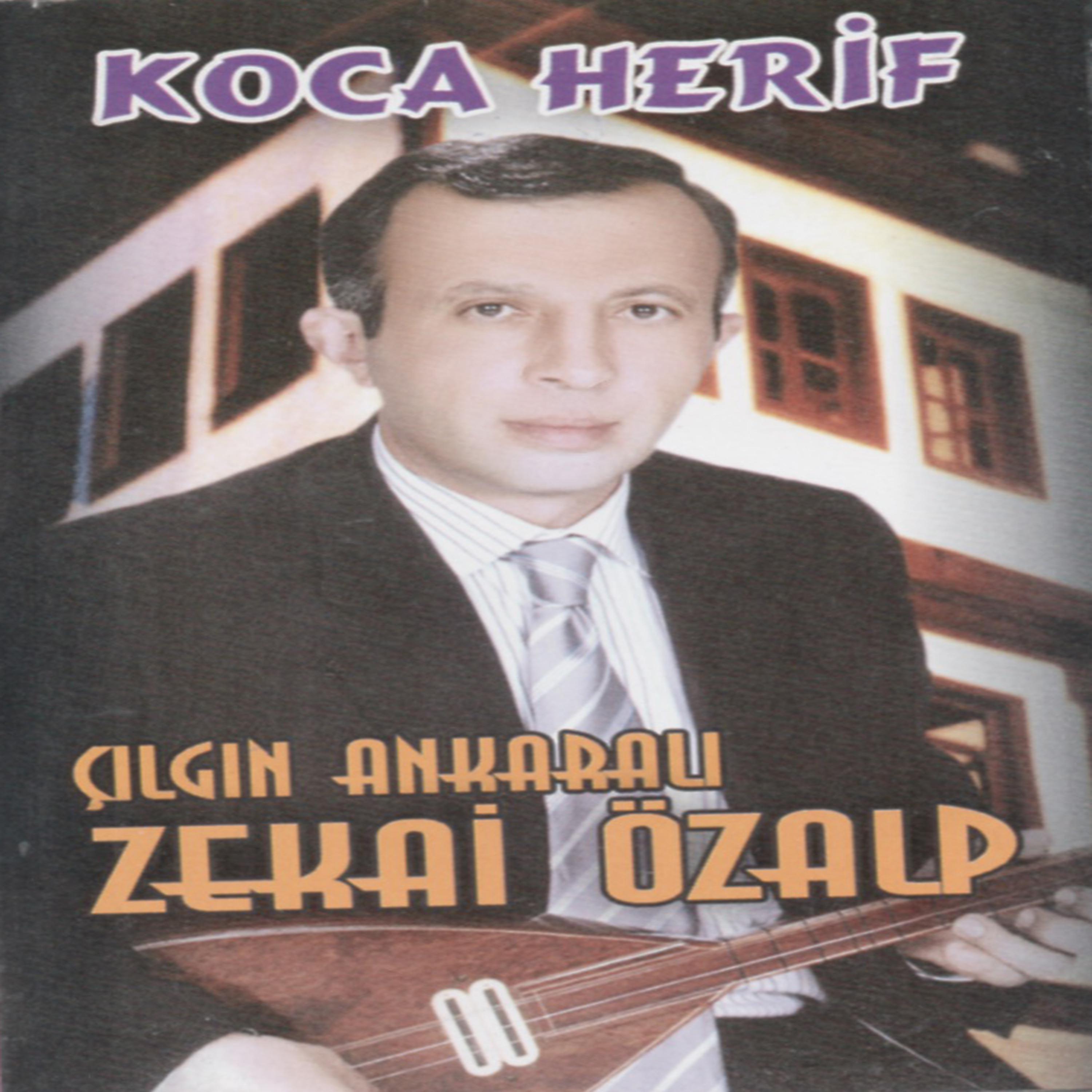 Постер альбома Çılgın Ankaralı / Koca Herif