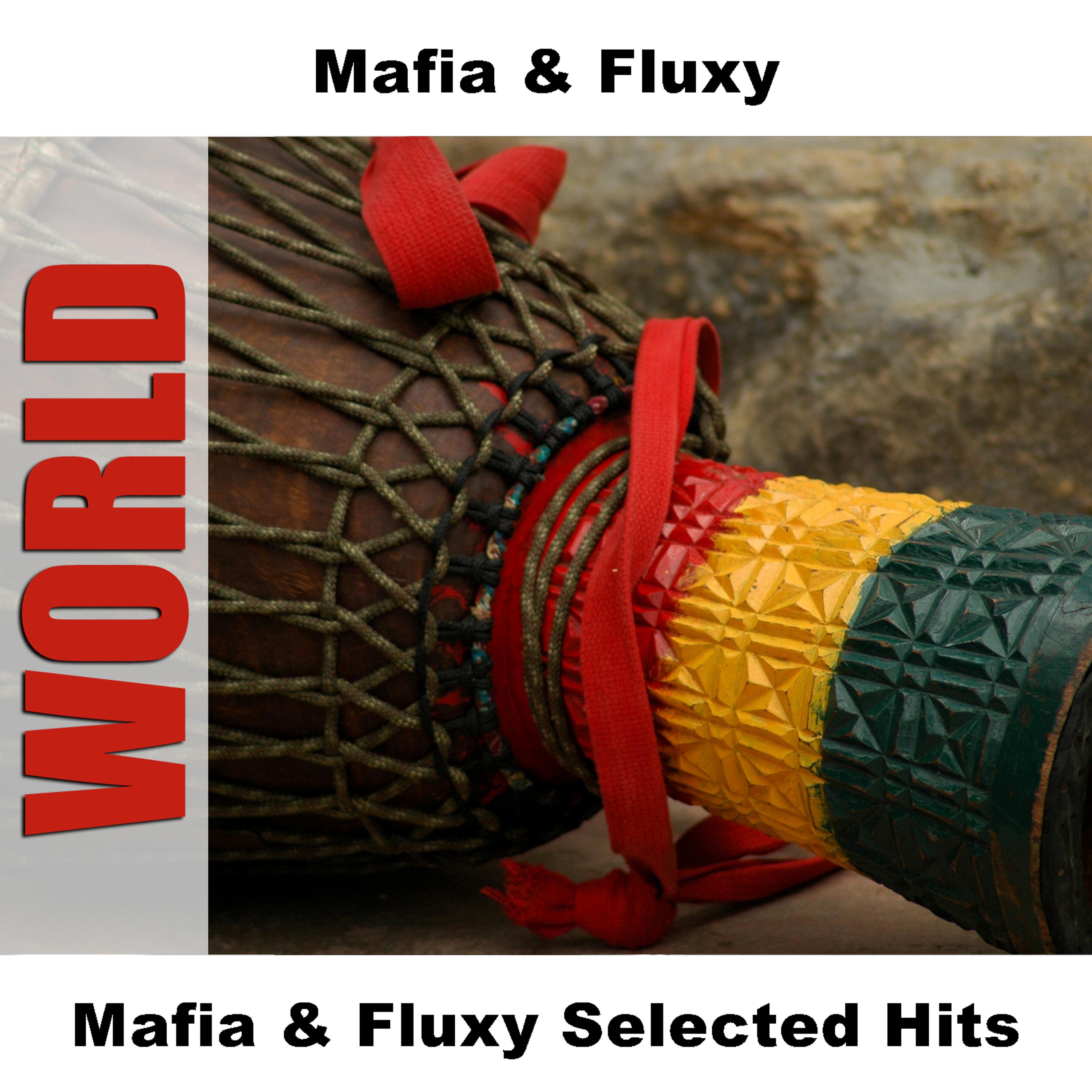 Постер альбома Mafia & Fluxy Selected Hits