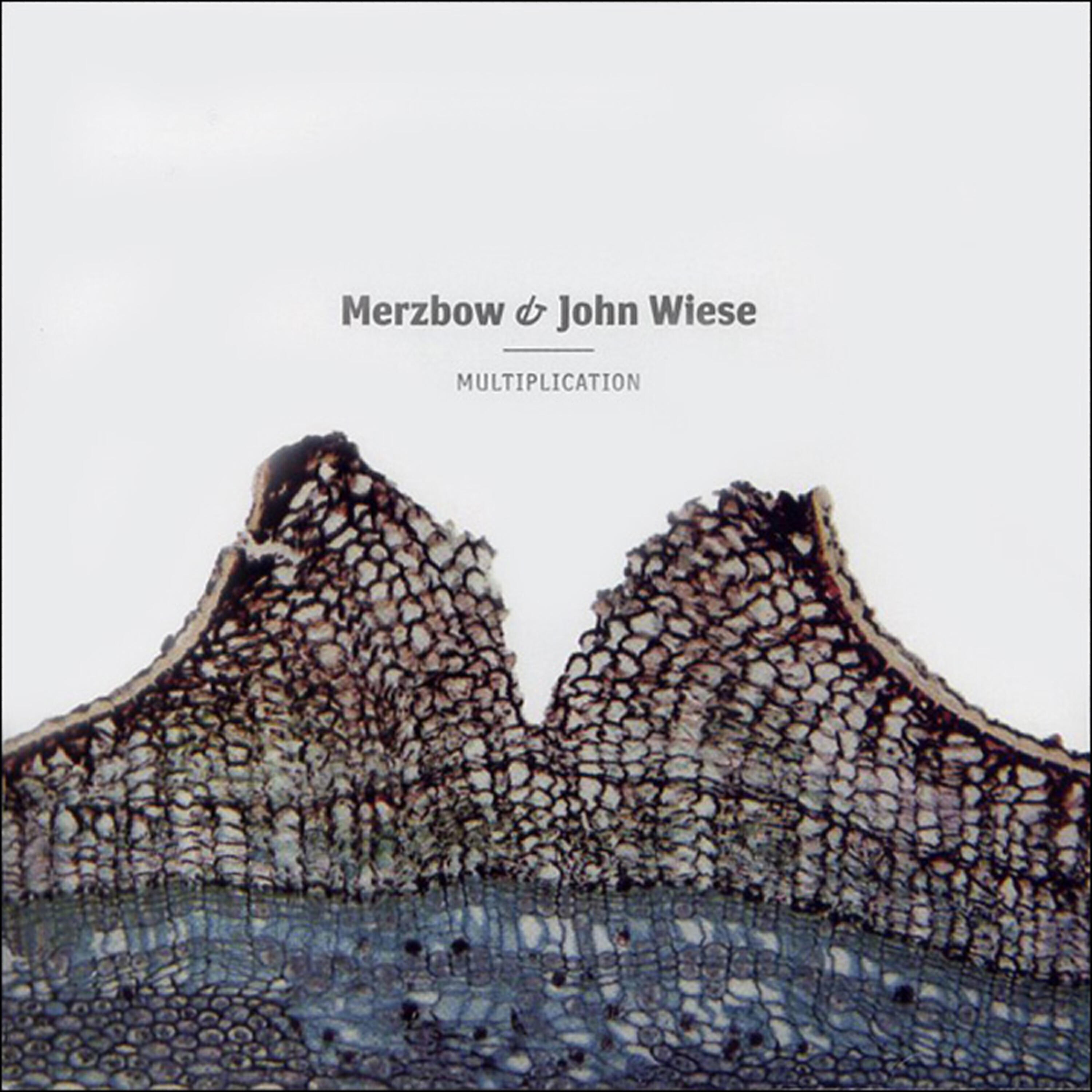 John Wiese - Spell