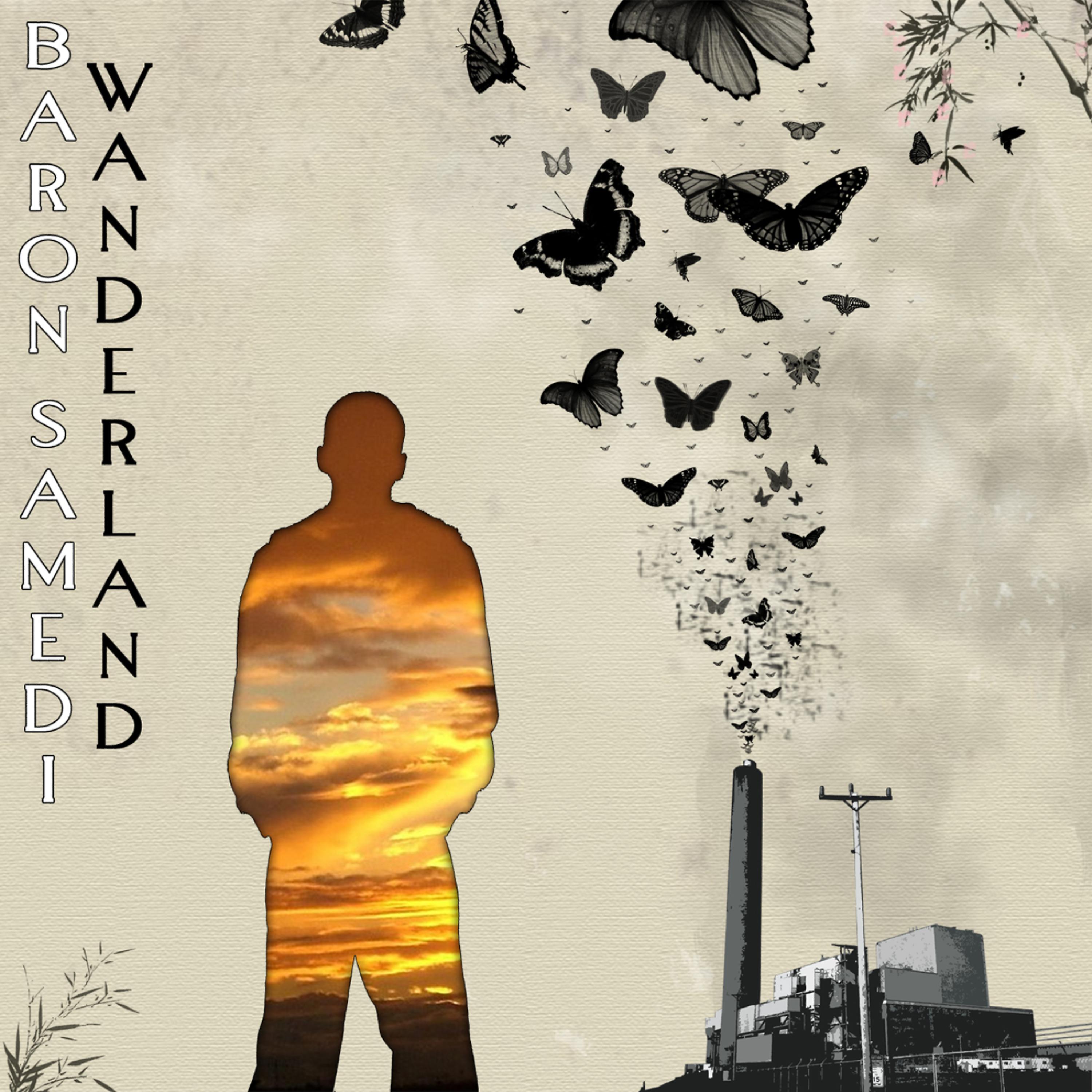 Постер альбома Wanderland