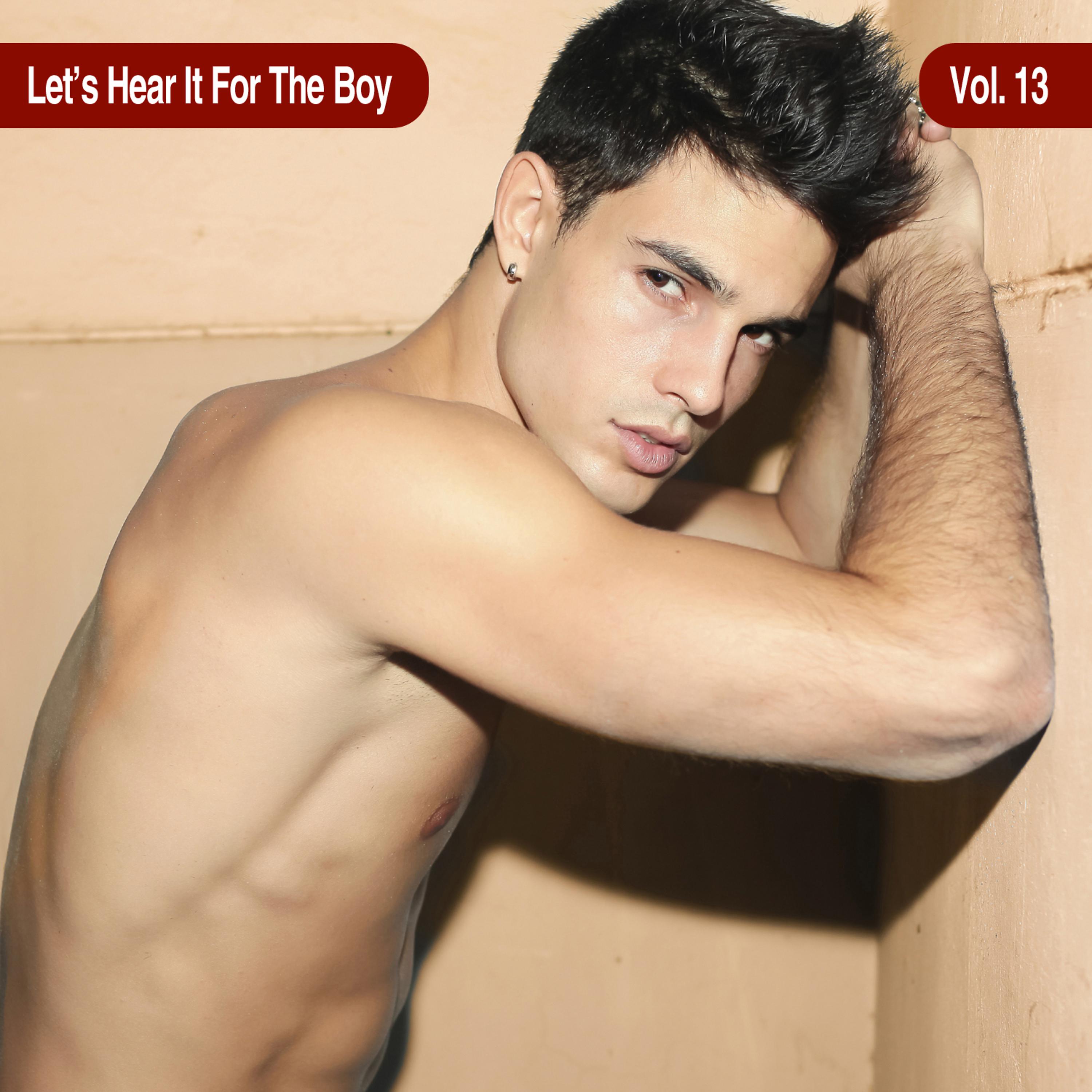 Постер альбома Let's Hear It for the Boy, Vol. 13