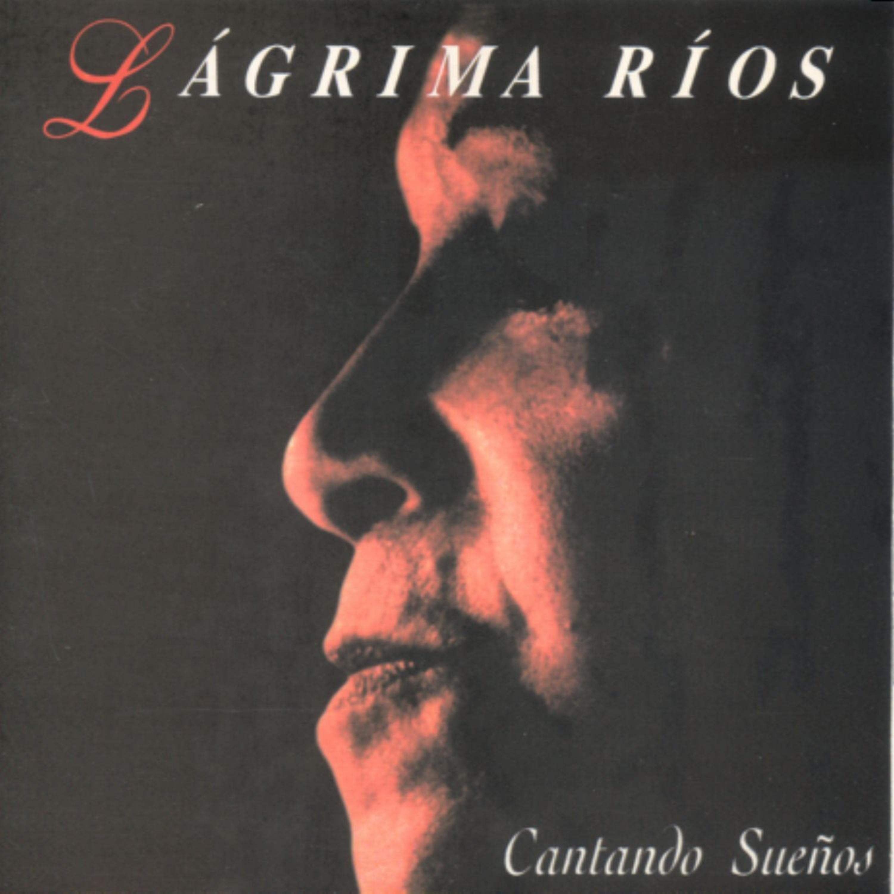 Постер альбома Cantando Sueños