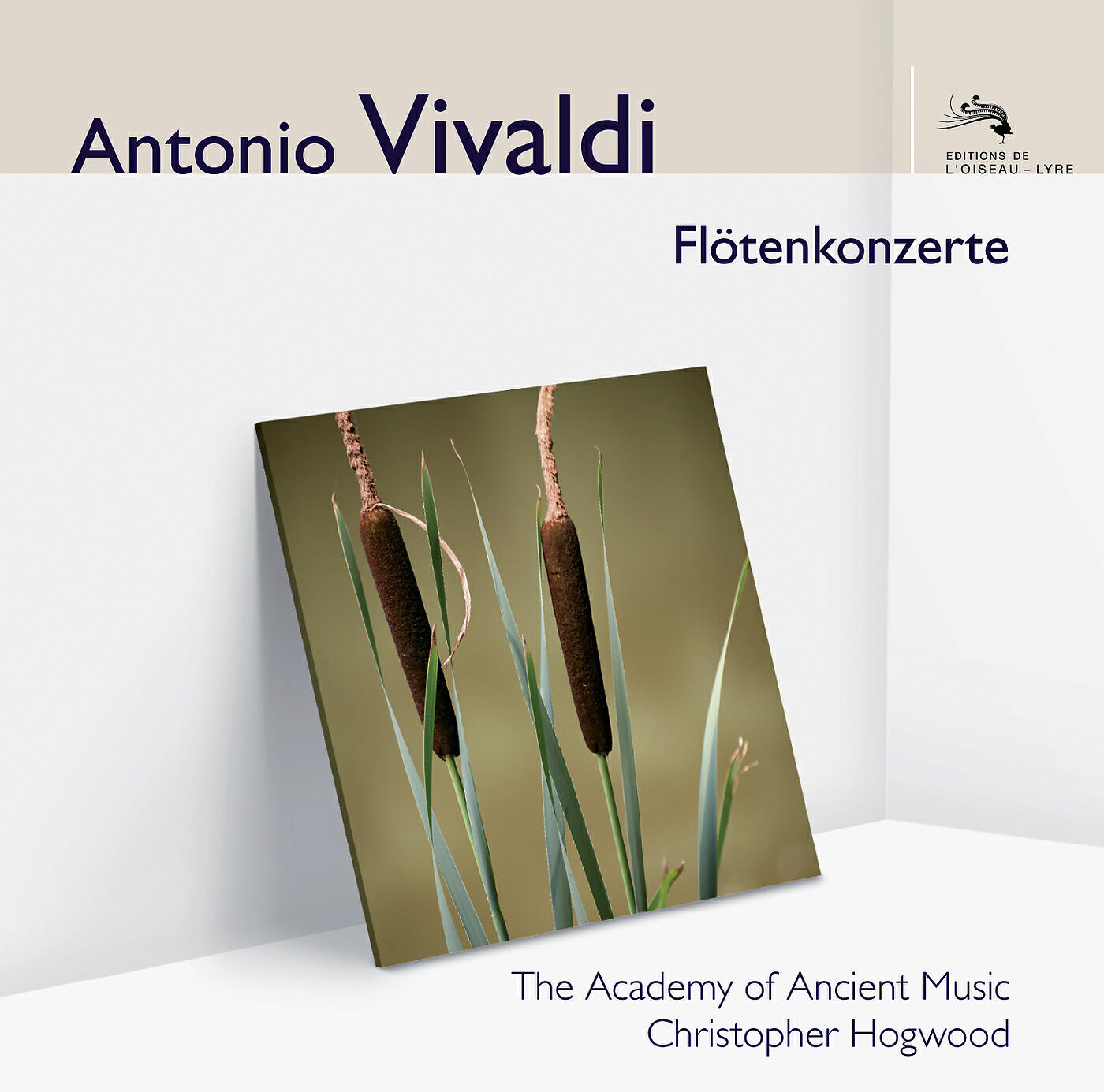 Michael Copley - Vivaldi: Flautino Concerto in C Major, RV 443 - 2. Largo