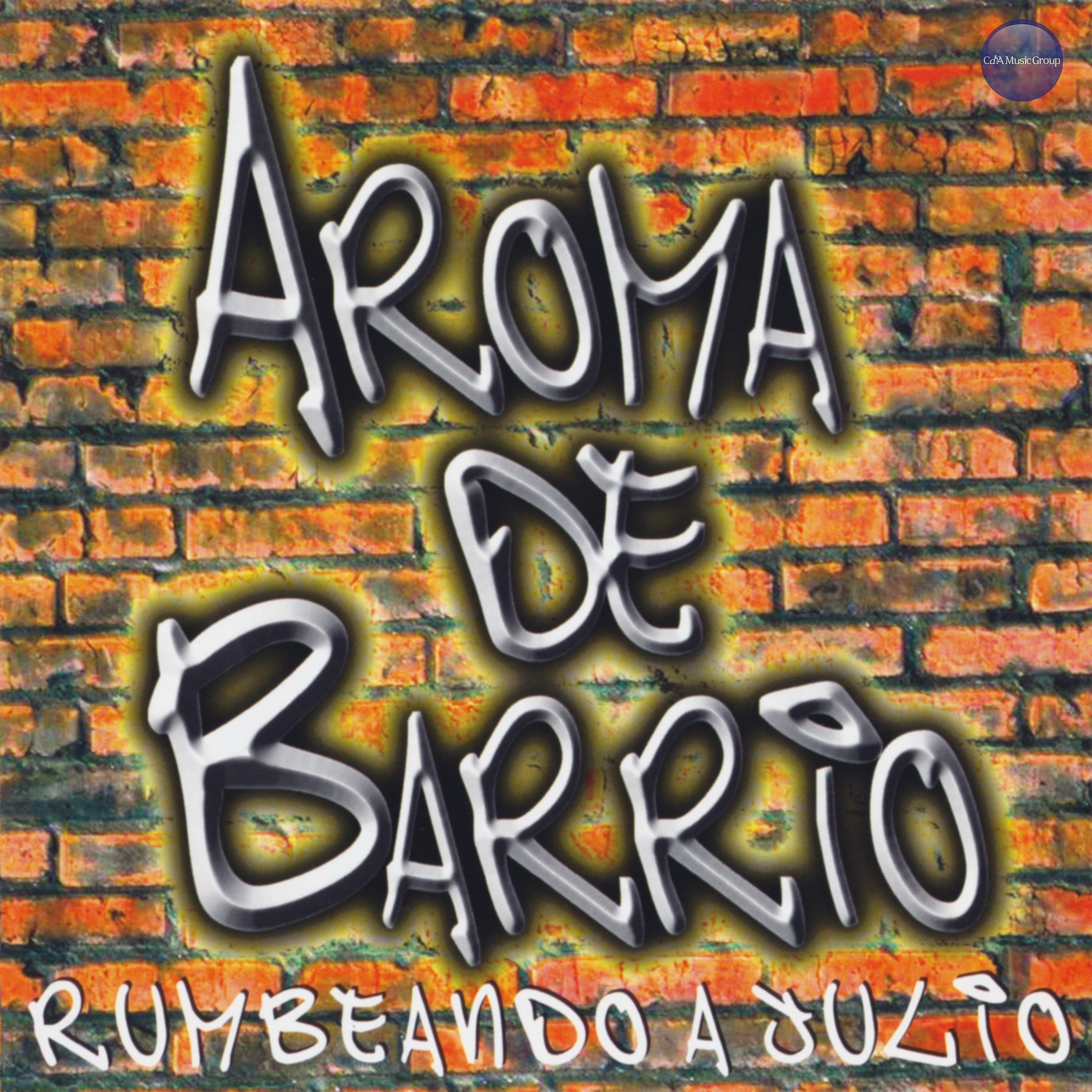 Постер альбома Rumbeando a Julio