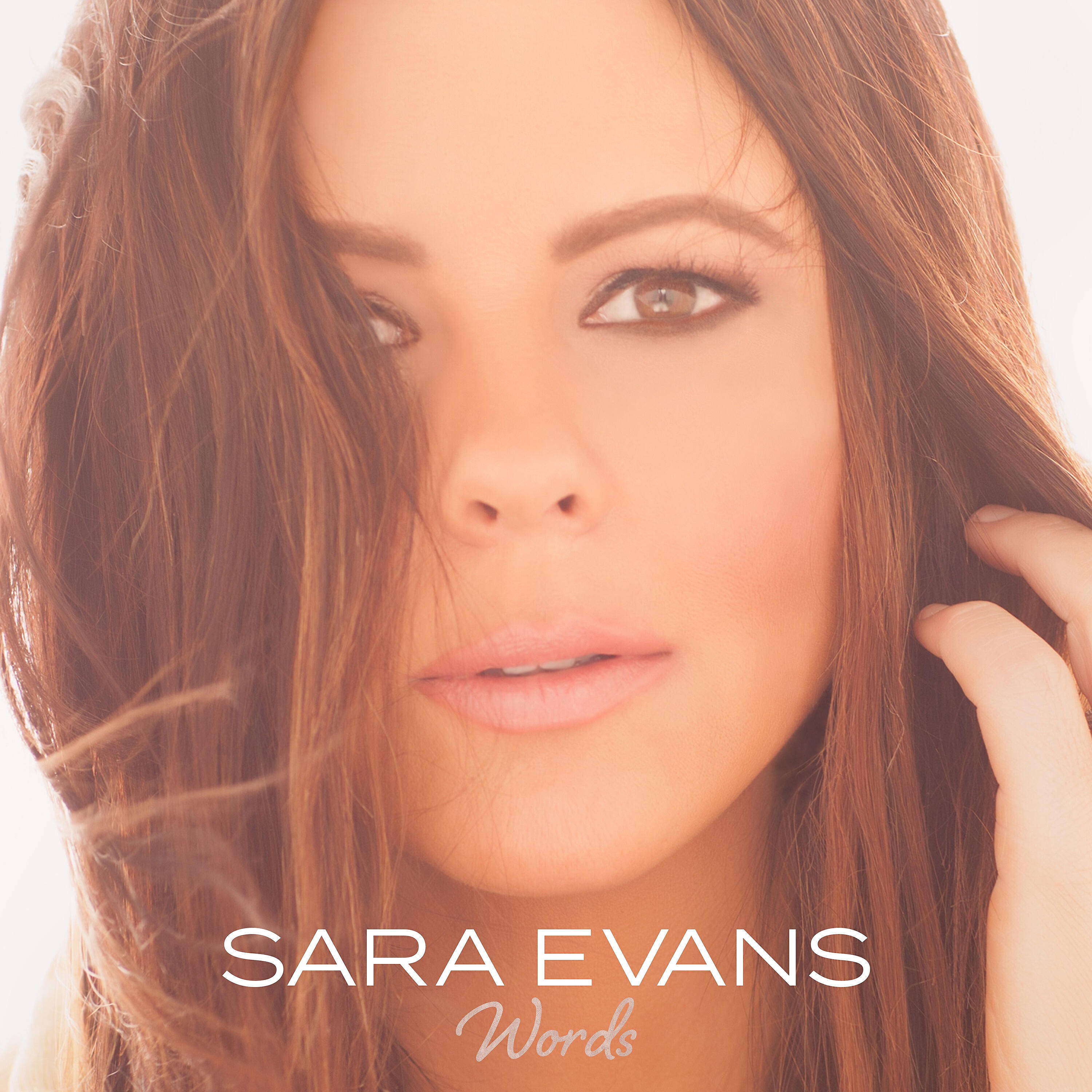 Sara Evans - Like the Way You Love Me