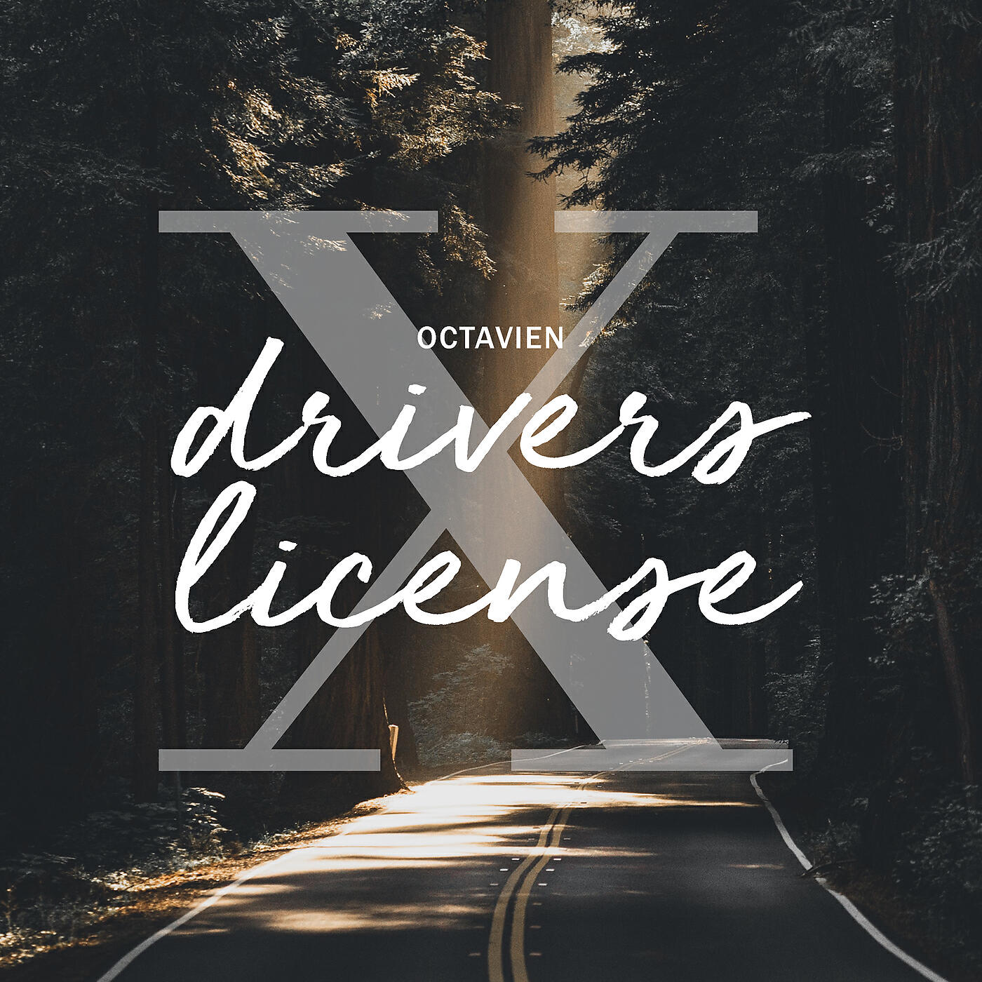Octavien X - drivers license (Piano Version)