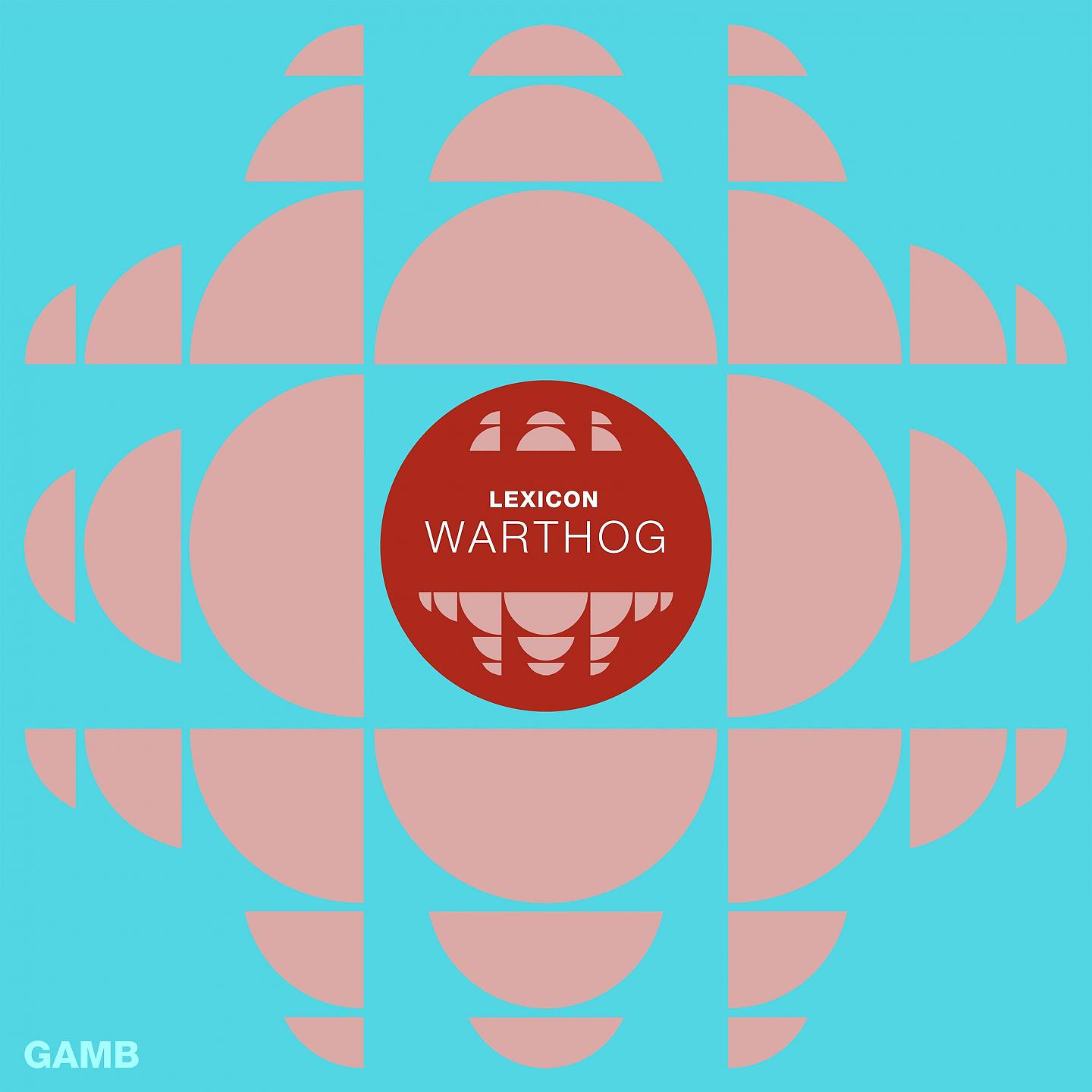 Постер альбома Warthog