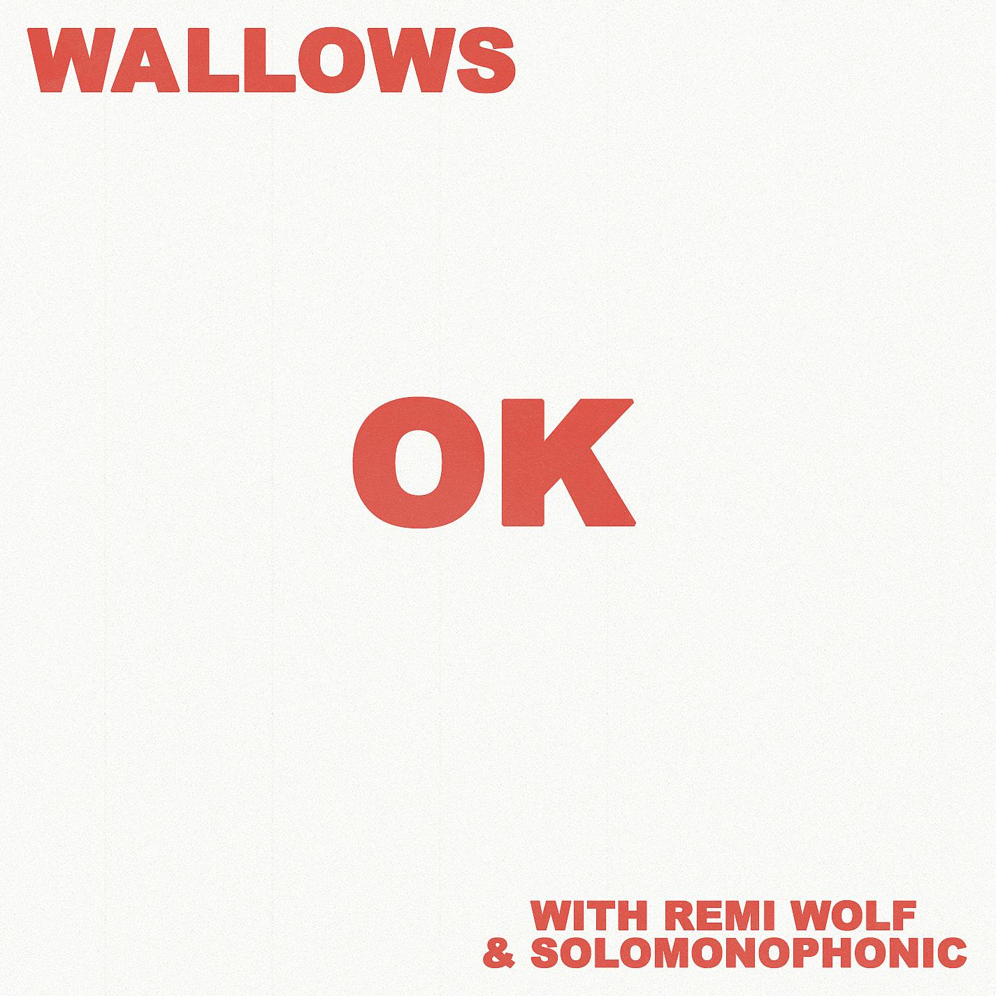 Постер альбома OK (with Remi Wolf & Solomonophonic)