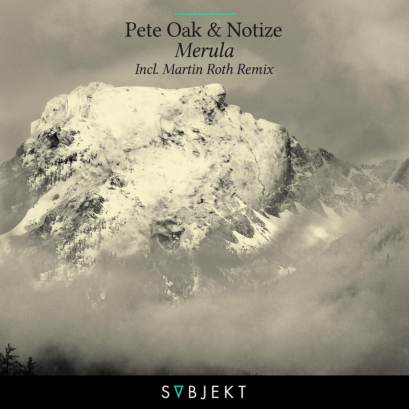 Pete Oak - Merula (Martin Roth Remix)
