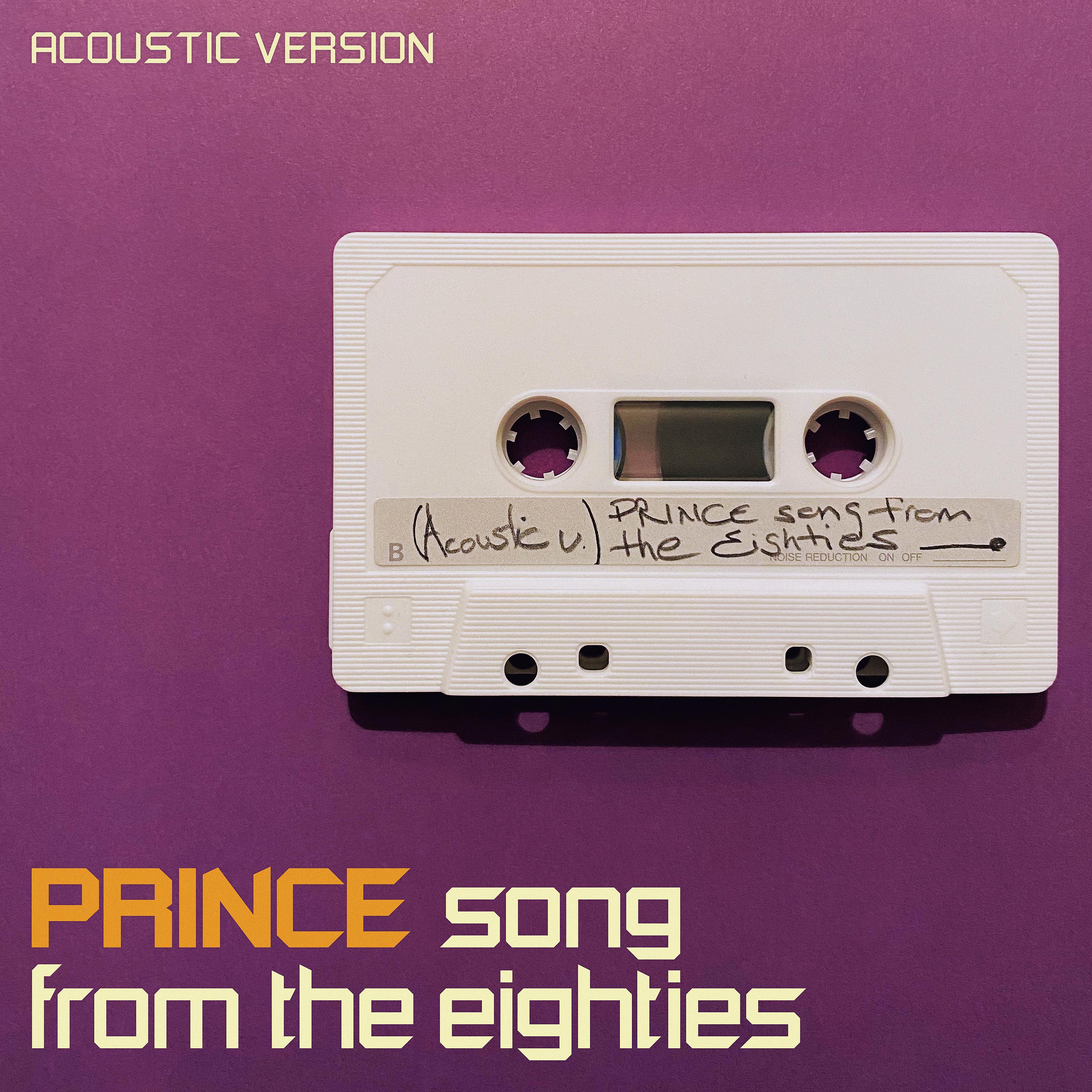 Постер альбома Prince Song from the Eighties (Acoustic Version)