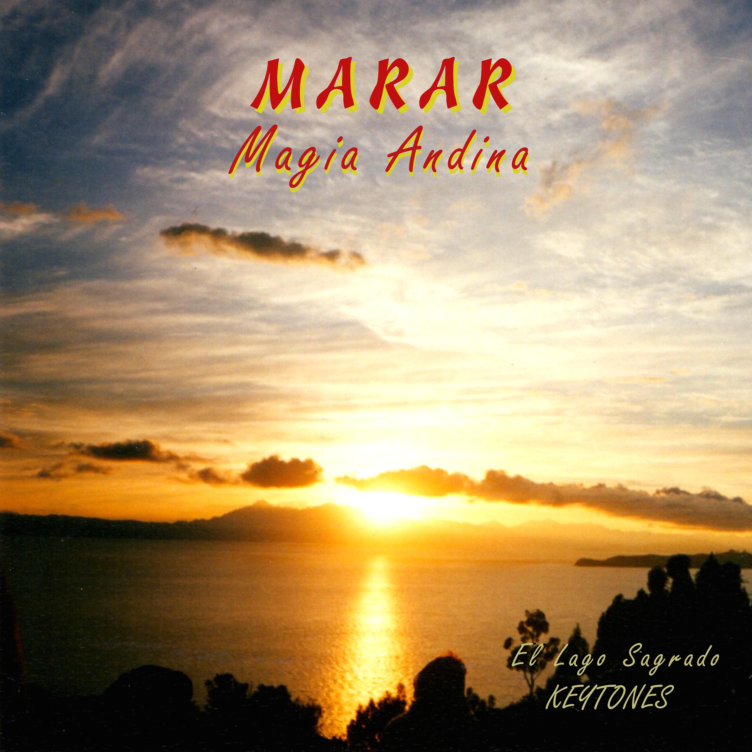 Постер альбома Magia Andina