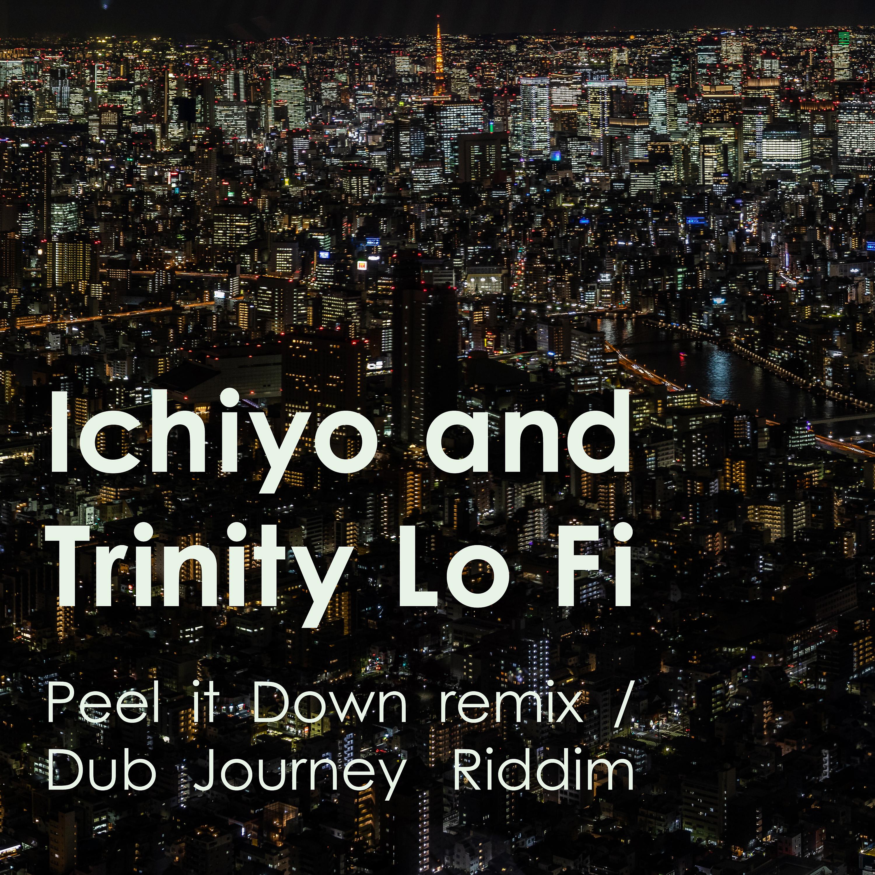 Постер альбома Peel It Down Remix (Dub Journey Riddim)
