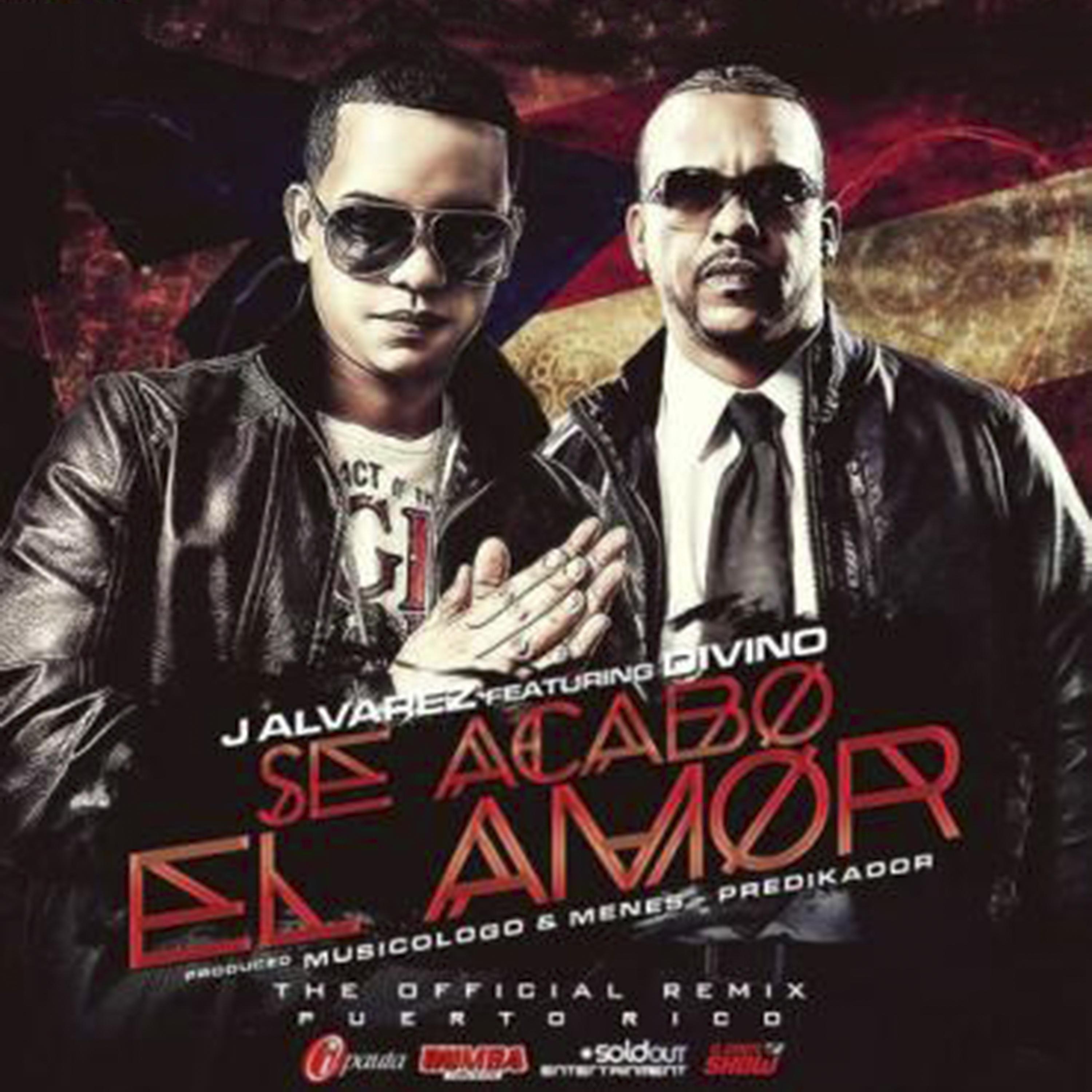 Постер альбома Se Acabo el Amor (Remix)