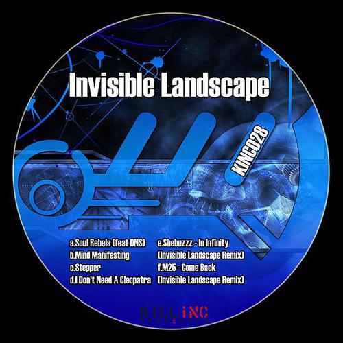 Invisible Landscape - Soul Rebels