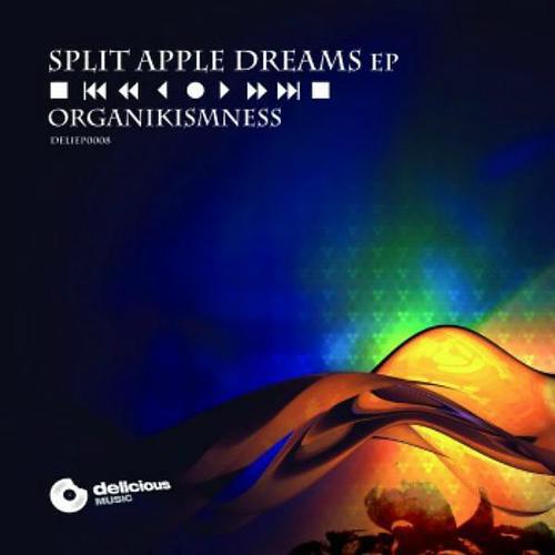 Organikismness - Distorted Reality (Organikismness Remix)