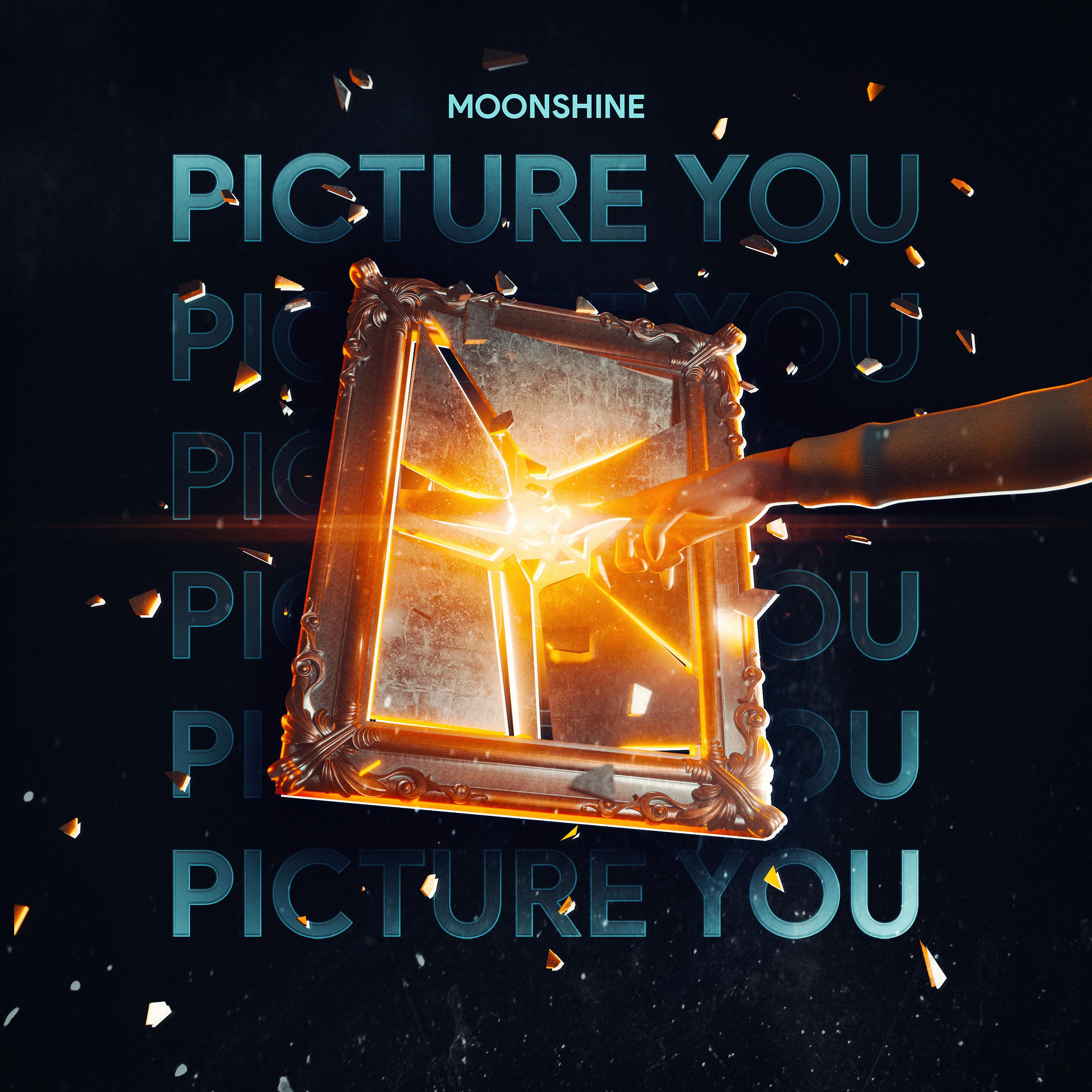 Постер альбома Picture You