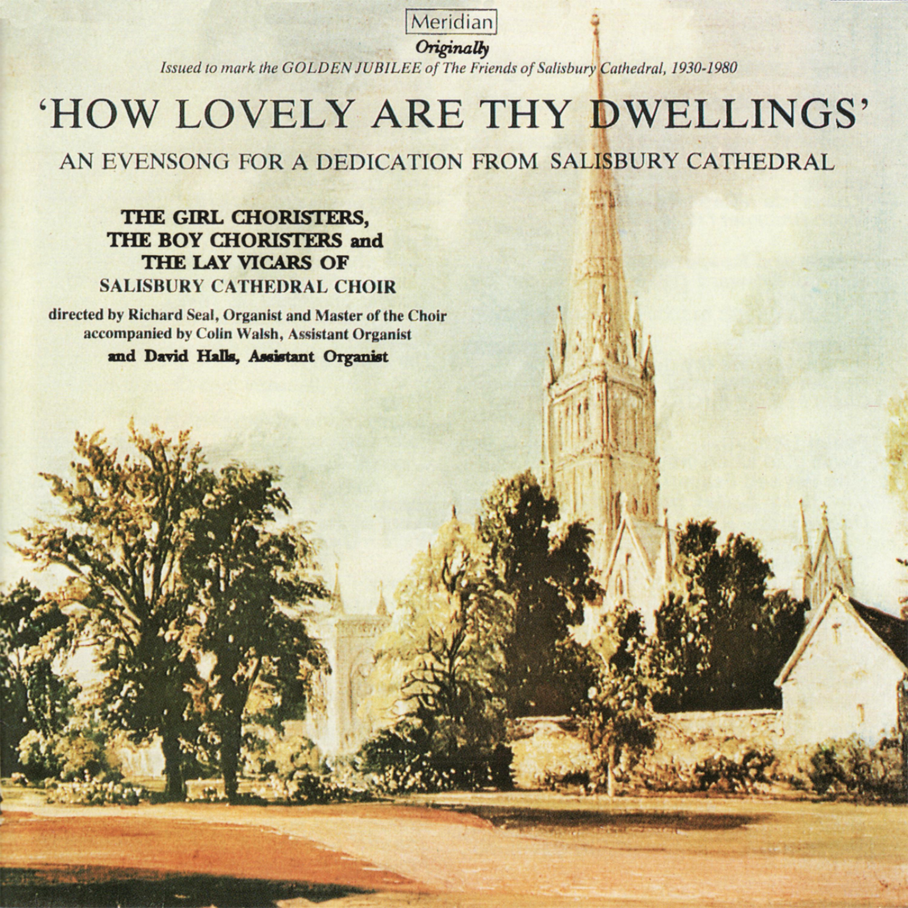 Постер альбома 'How Lovely Are Thy Dwellings' - An Evensong for a Dedication from Salisbury Cathedral