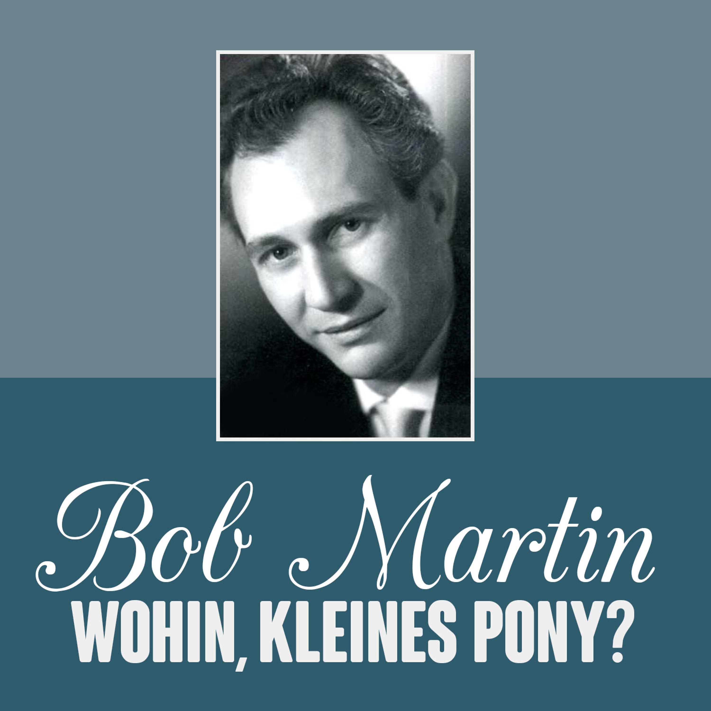 Постер альбома Wohin, Kleines Pony?