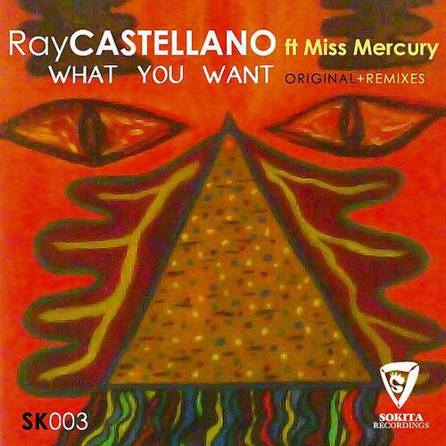 Ray Castellano - What You Want (Alvaro Dacoss Remix)