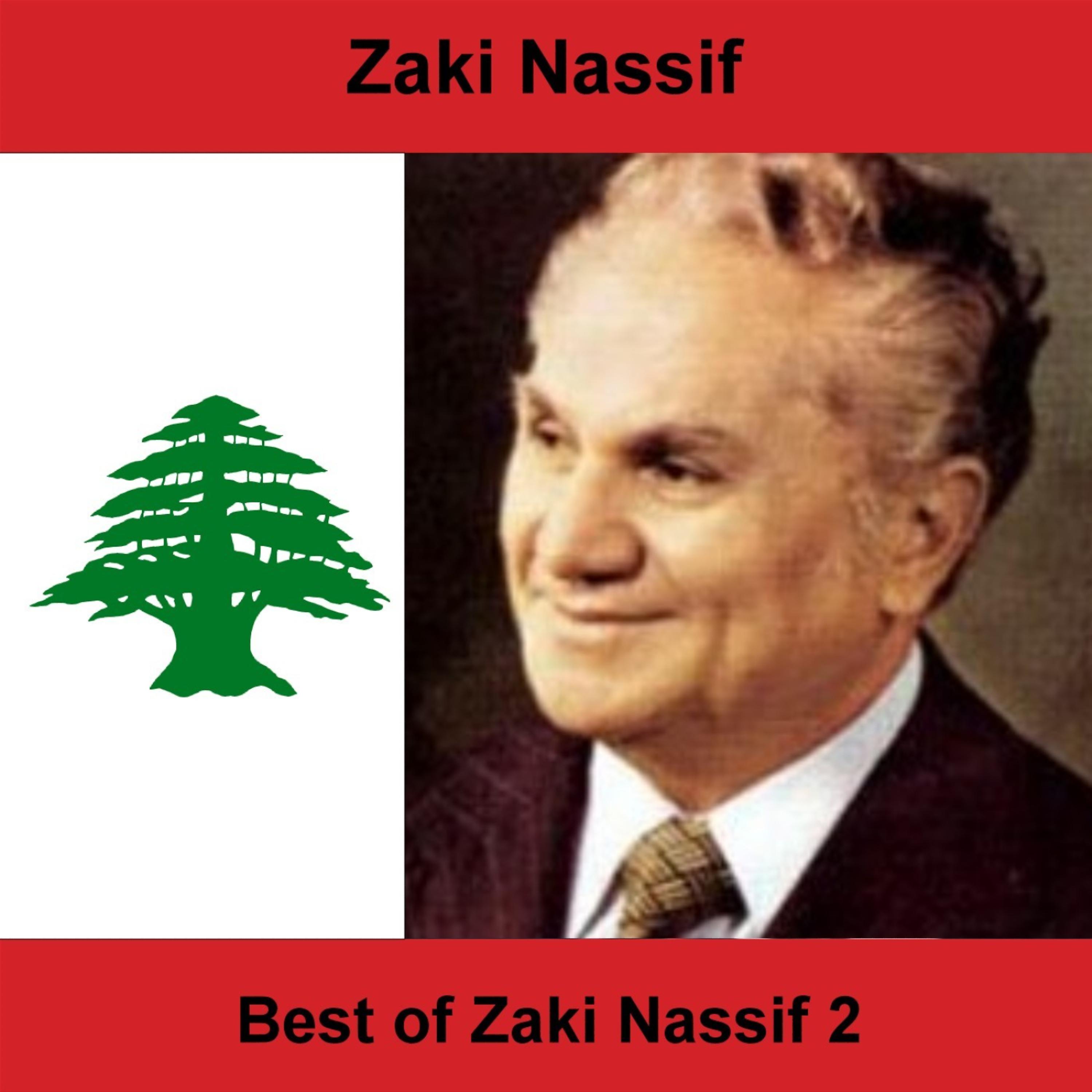 Постер альбома Best of Zaki Nassif 2