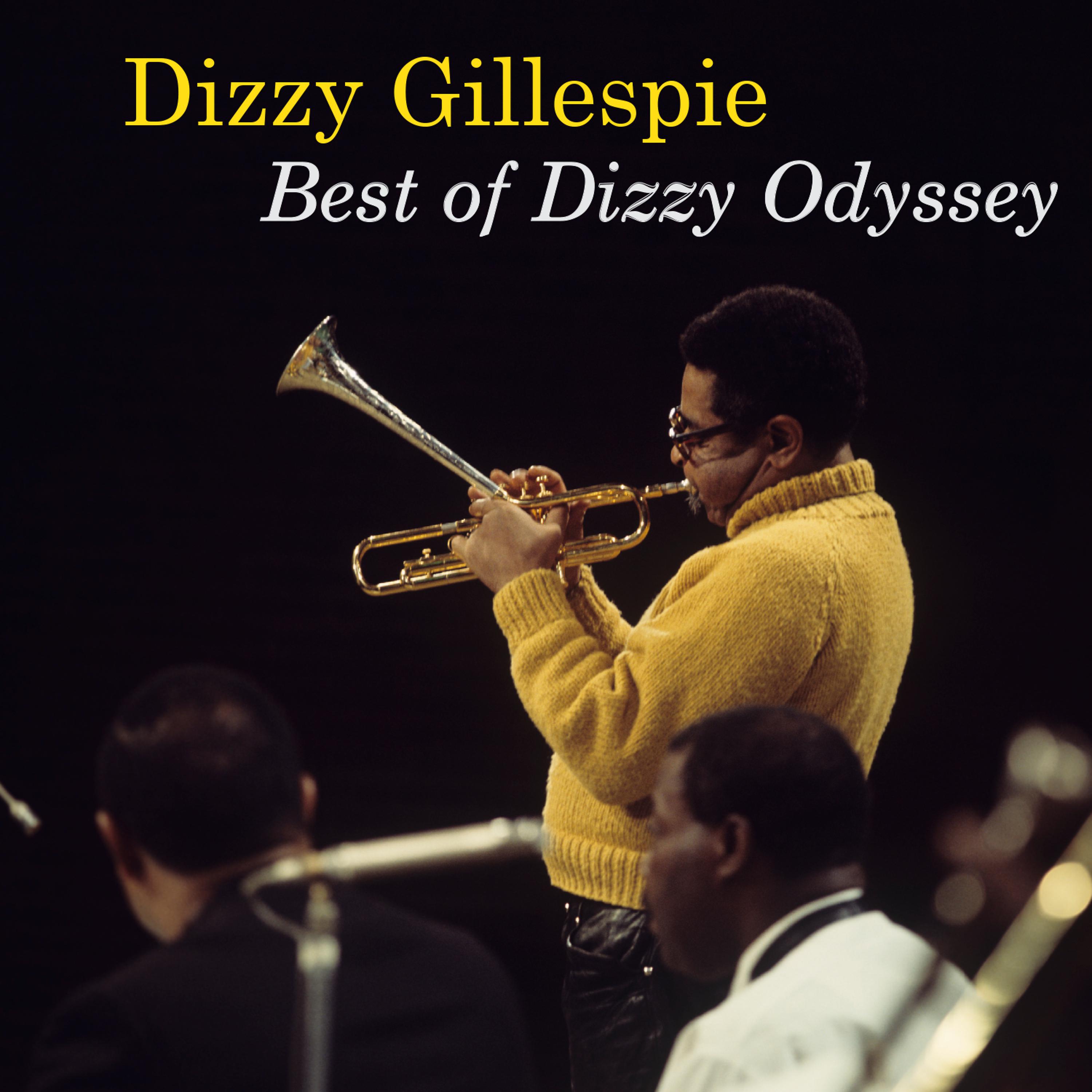 Постер альбома Best of Dizzy Odyssey