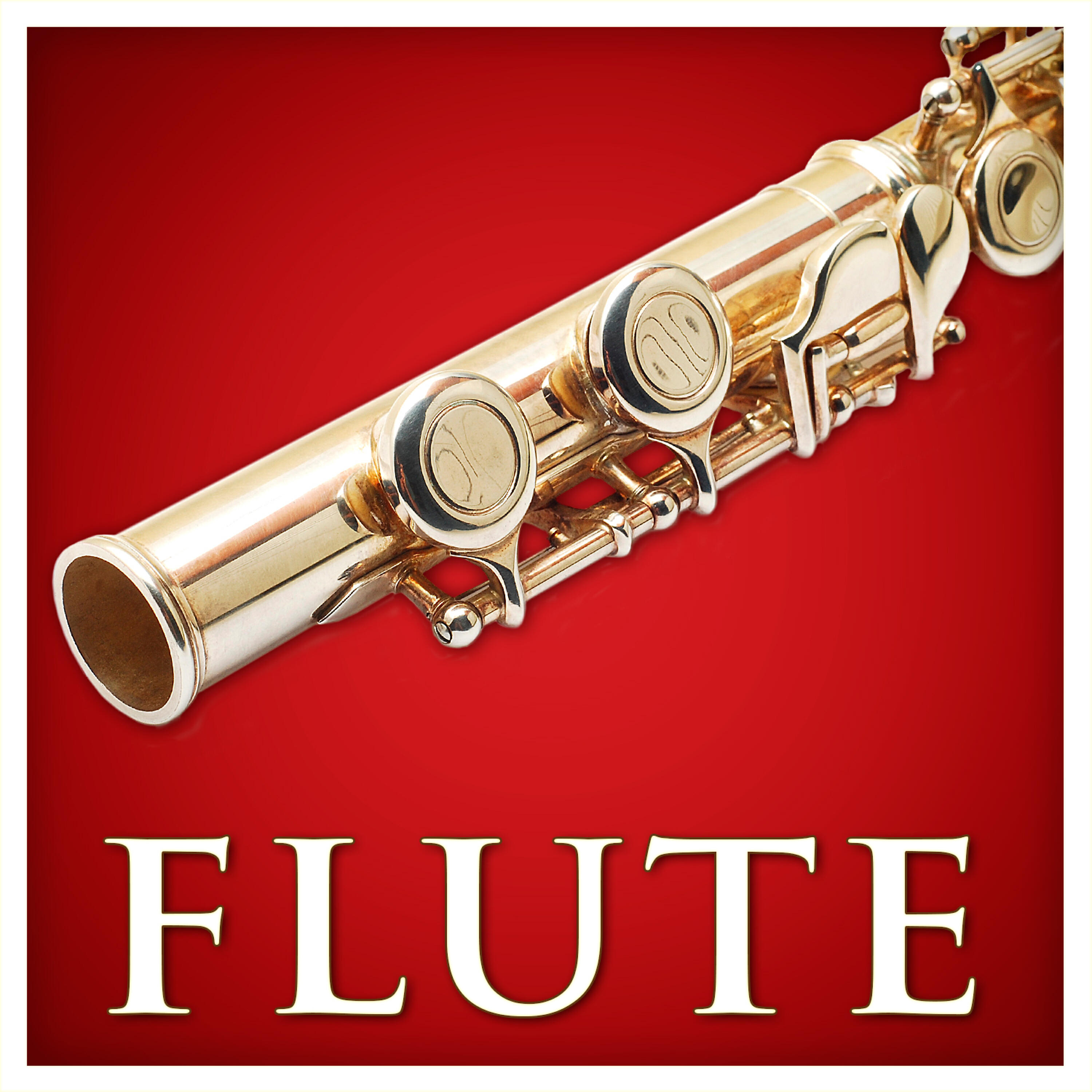 Zoltan Gyongyossy - Piccolo Flute Concerto in C Major, RV 443: III. Allegro molto