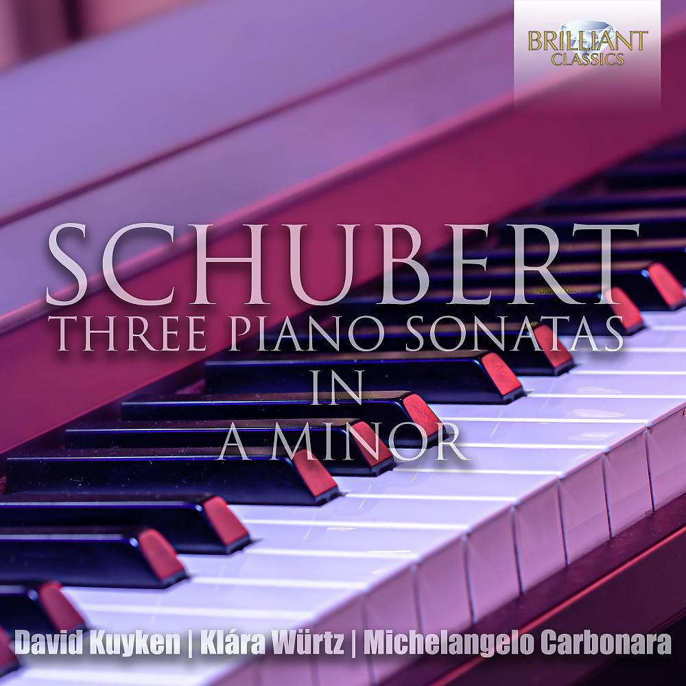 Постер альбома Schubert: The Three Piano Sonatas in A Minor
