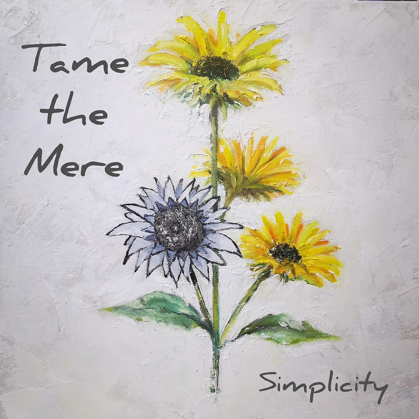 TAME THE MERE - A Calmer Soul
