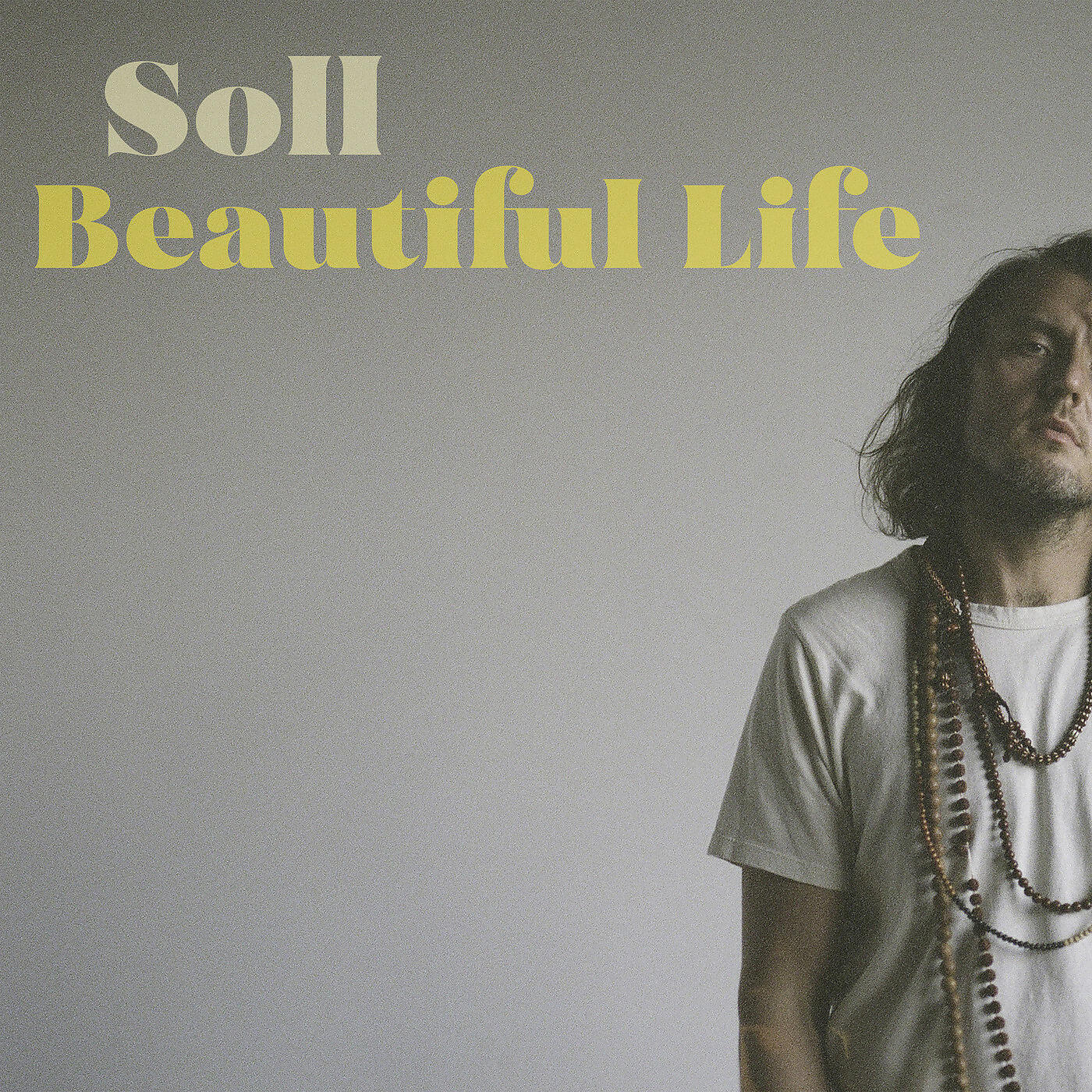 Soll - Beautiful Life