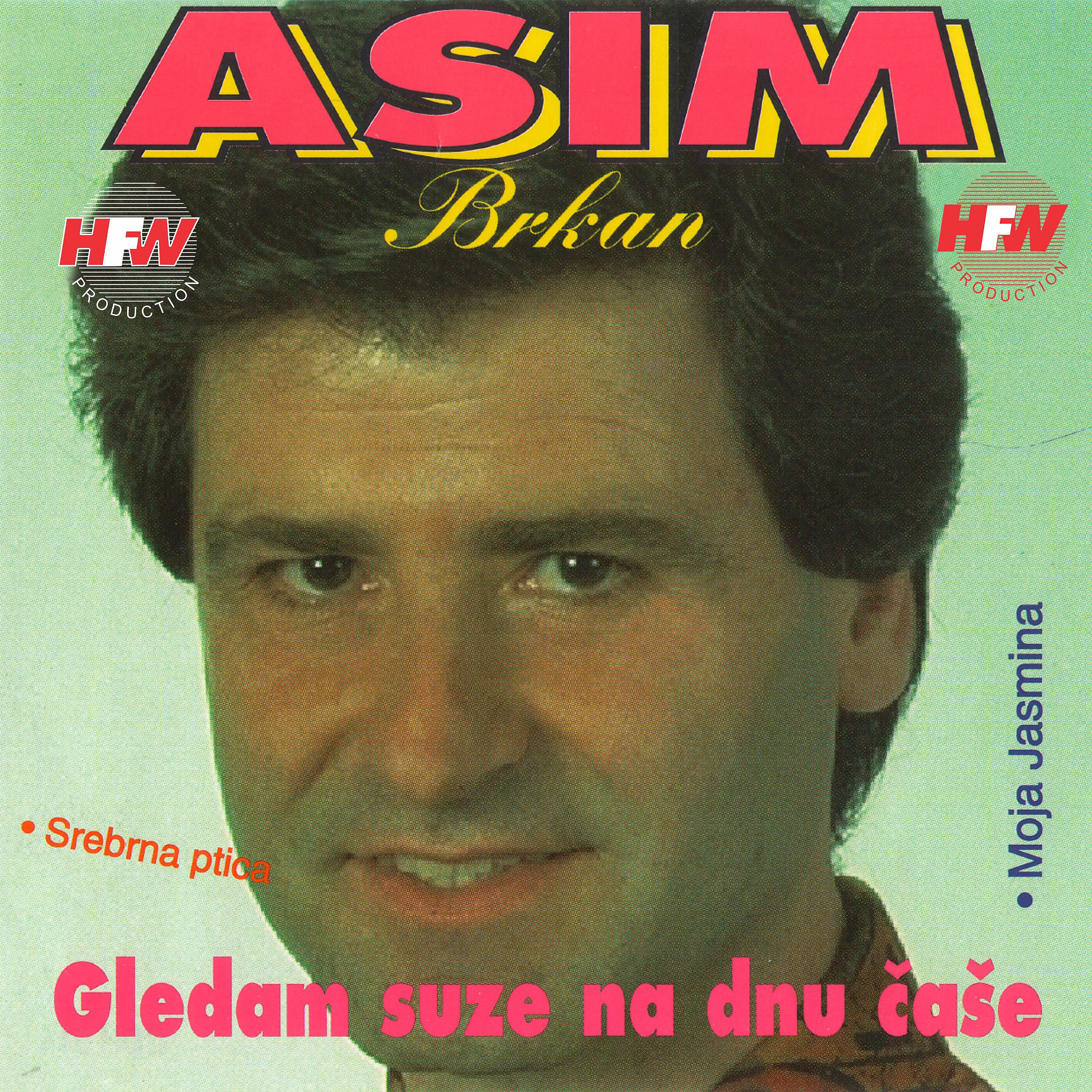 Постер альбома Gledam Suze Na Dnu Čaše