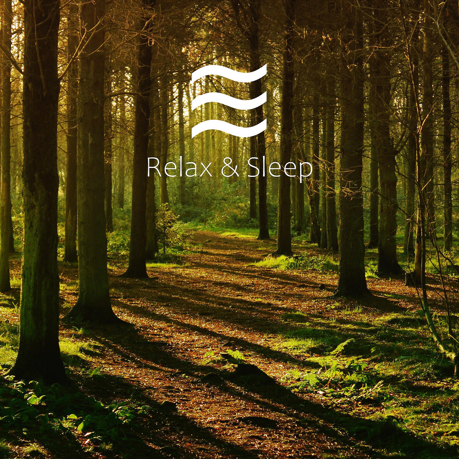 Relaxing Soft Natural Forest Sounds Rain - Restful Deep Forest Noises
