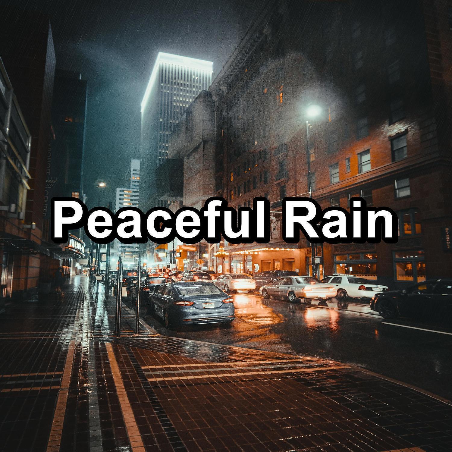 Deep Sleep Music Collective - Summer Rain in the Rainy Forest To Sleep with for 8 Hours