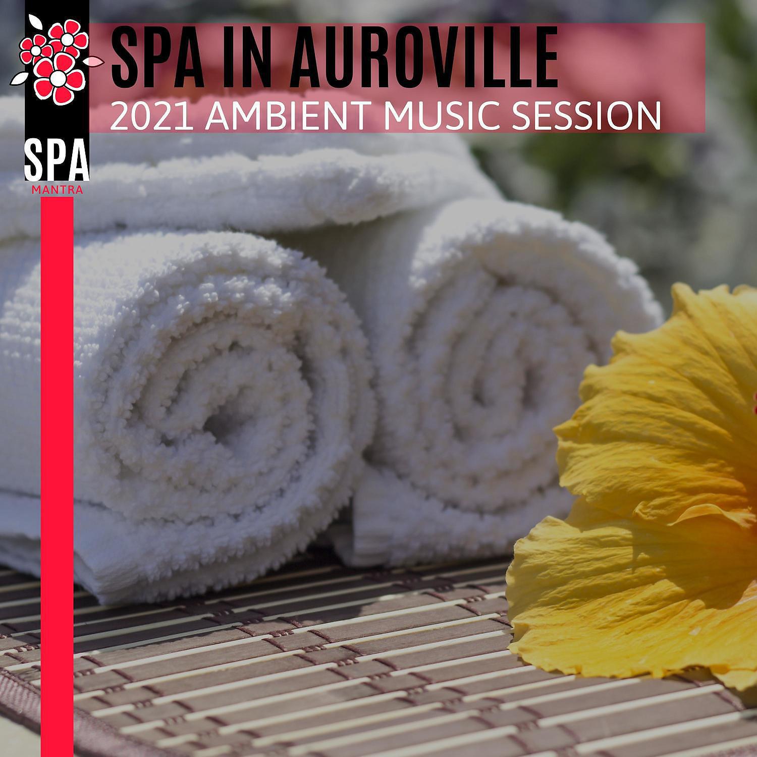 Spa Music Relaxation - Freezy Breeze