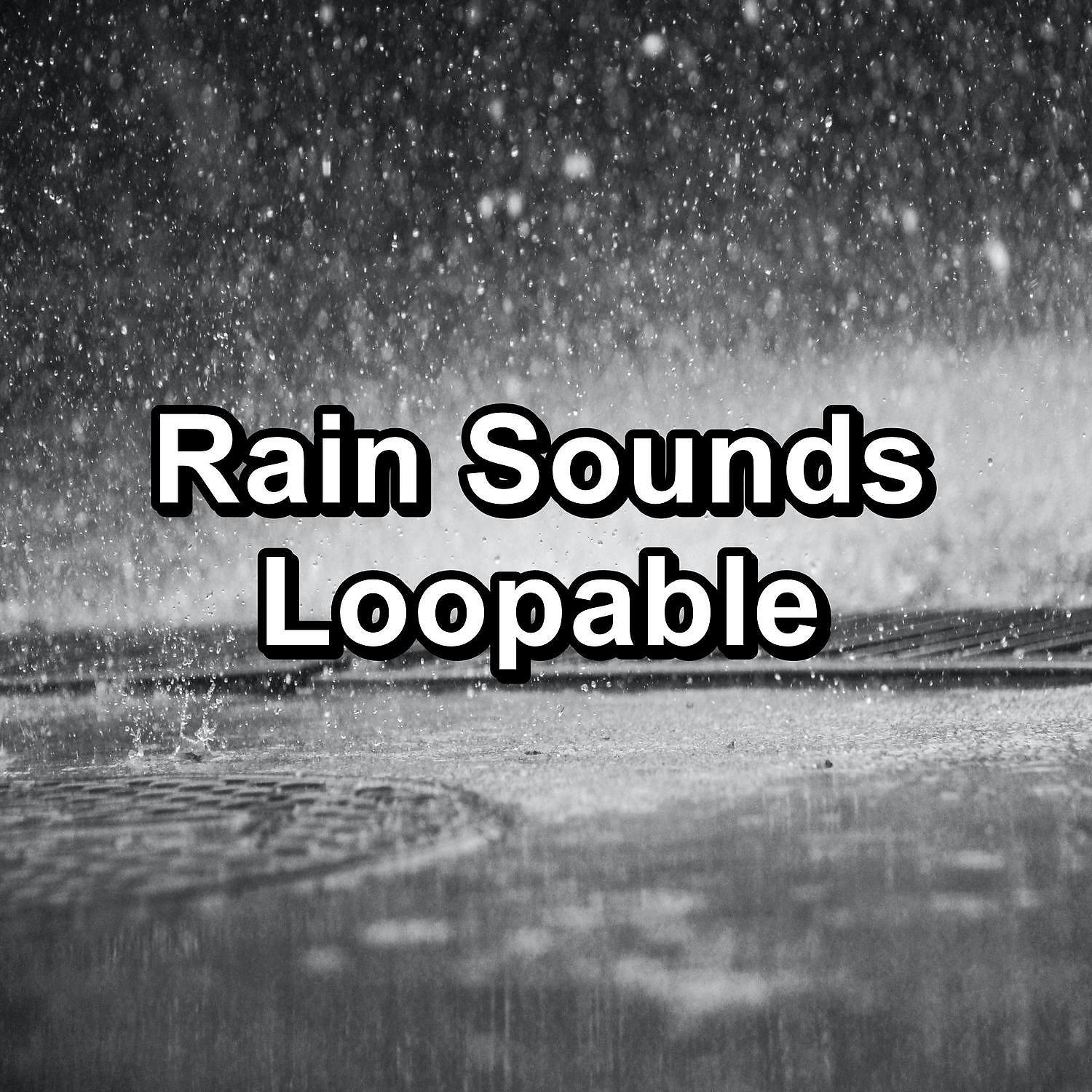 Постер альбома Rain Sounds Loopable