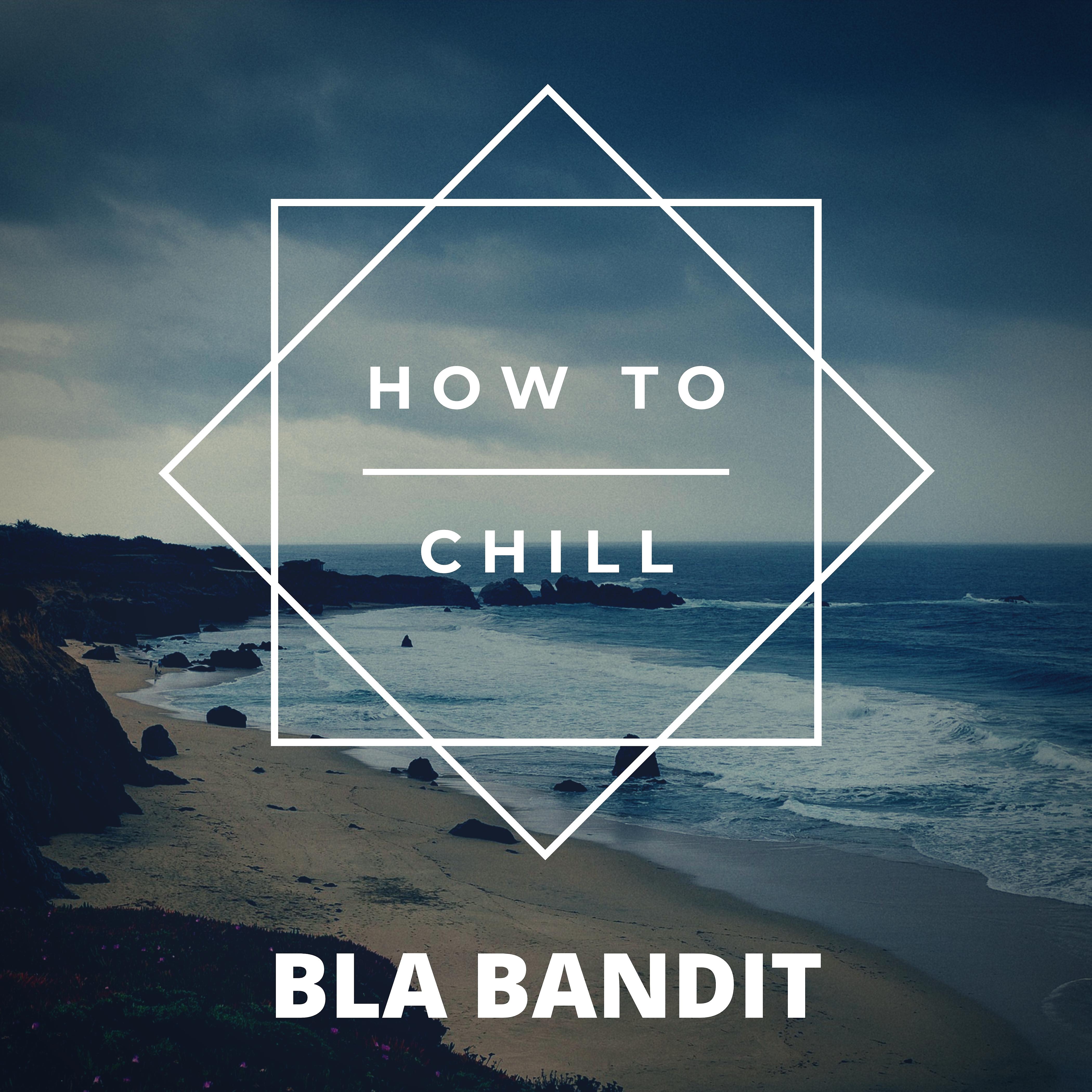 Постер альбома How to Chill