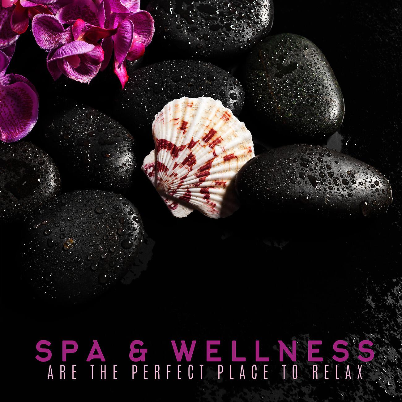 Unforgettable Paradise SPA Music Academy - Energy Is Everywhere
