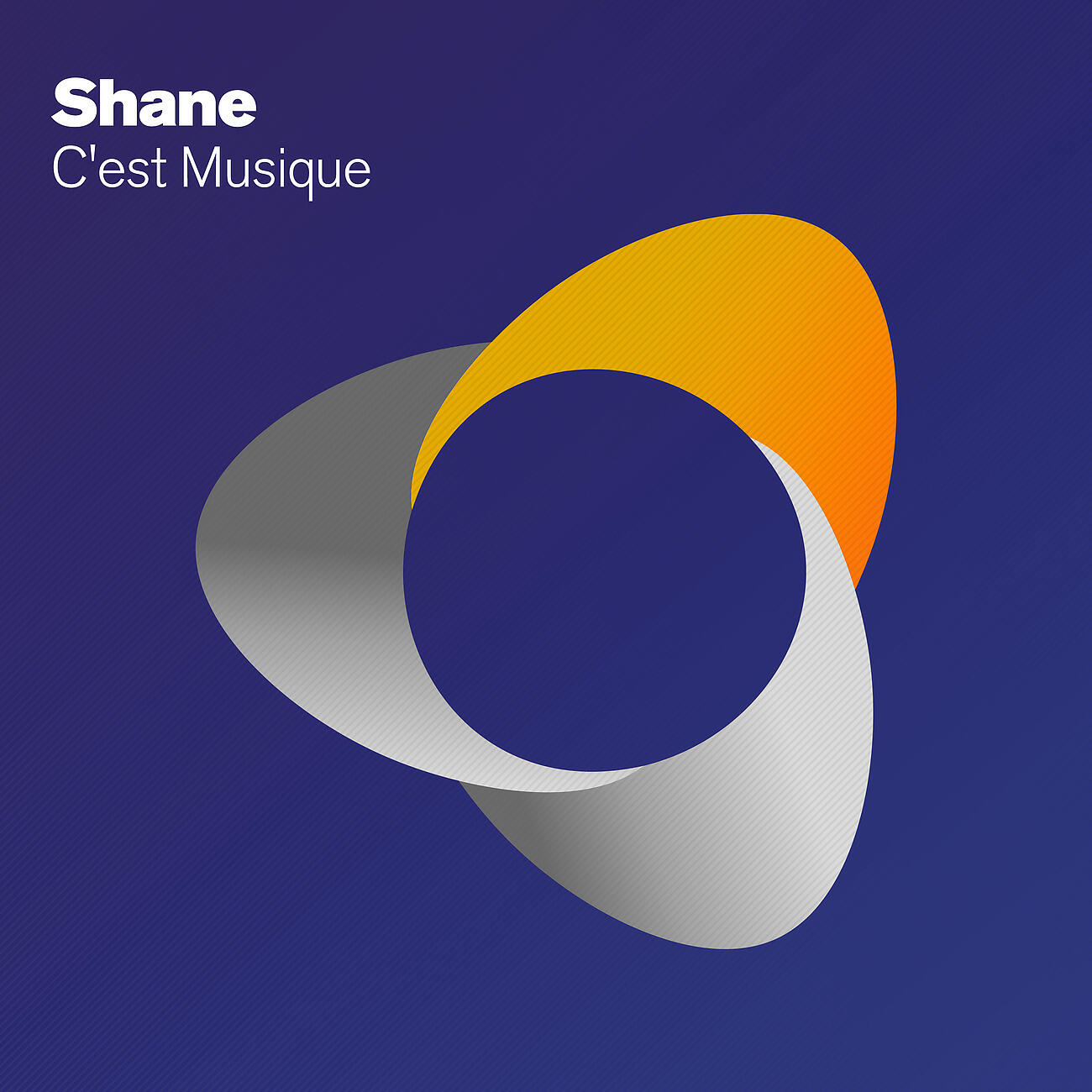 Shane - C'est Musique (Jonas Stenberg Remix)
