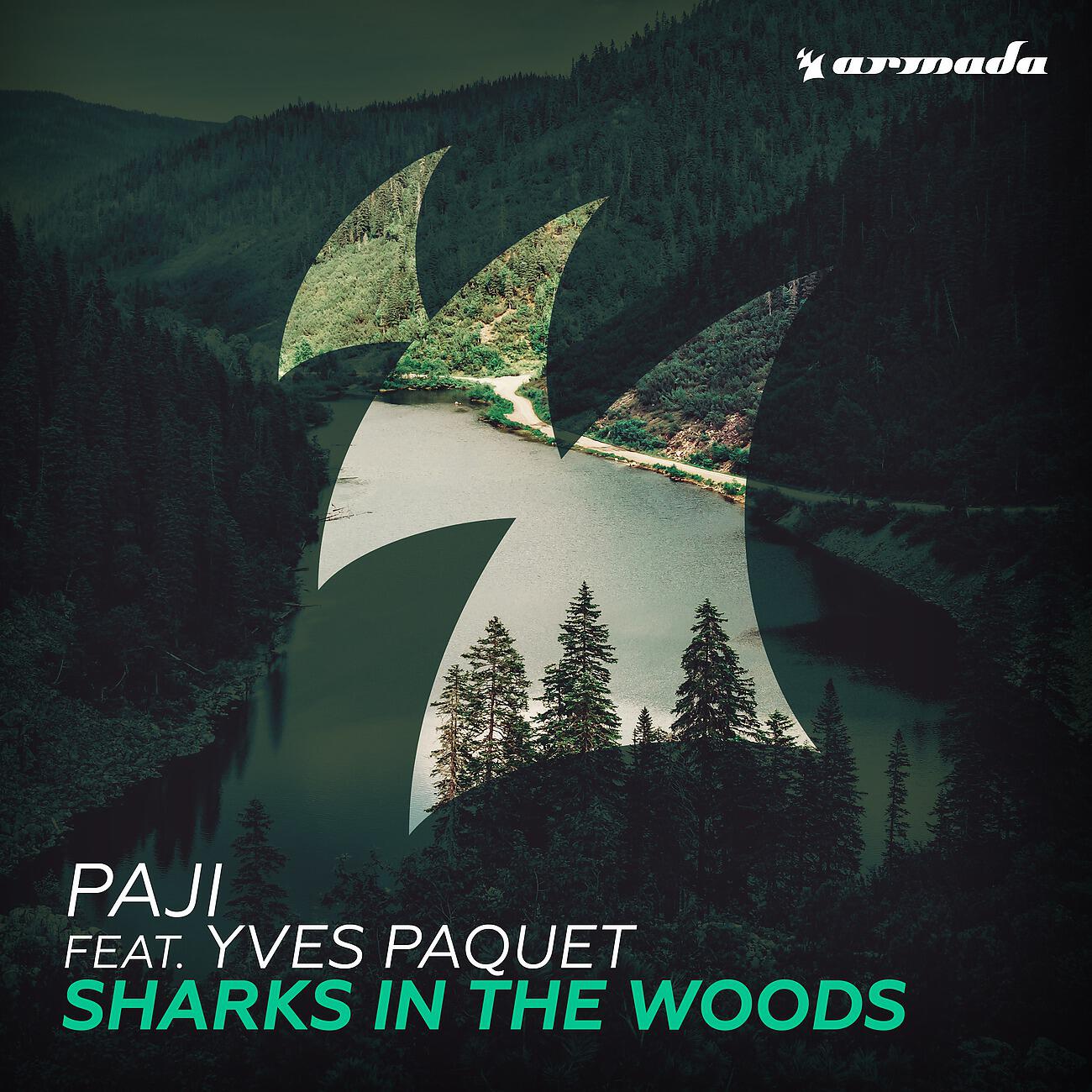 PAJI - Sharks In The Woods